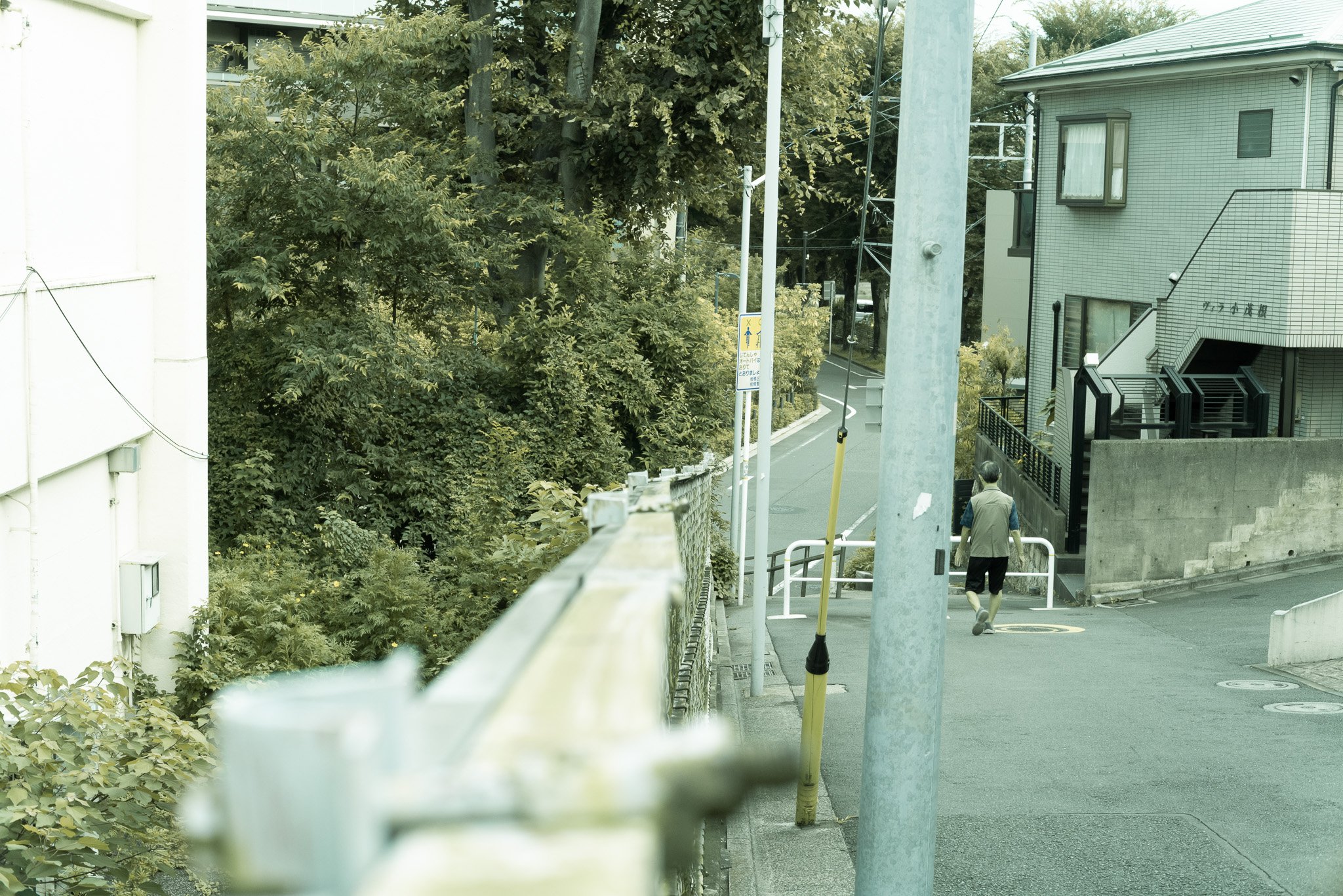 歩道を歩く男性の後ろ姿と、自然豊かな緑の木々、建物と電柱が見える都市の街角の風景です。