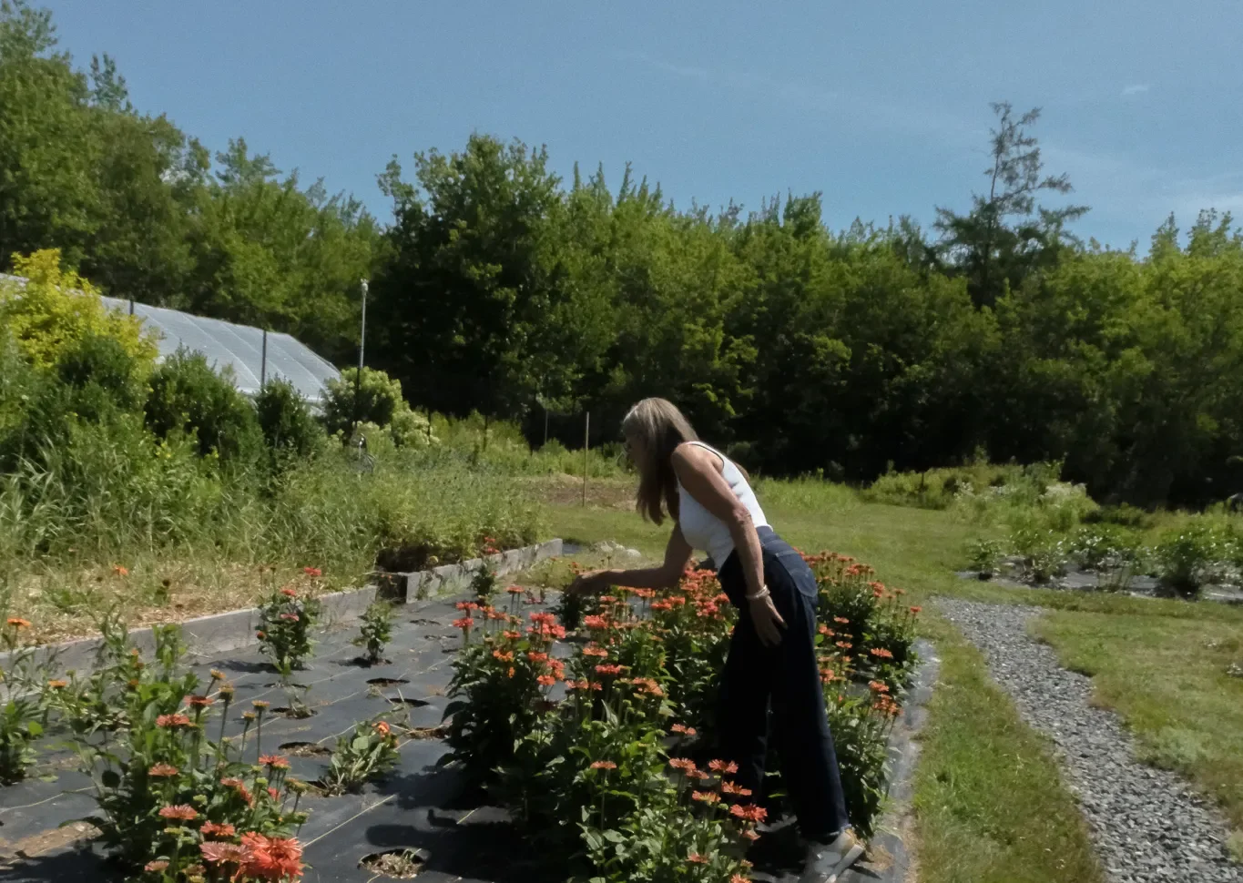 The Floral Industry Can Be So Much More Beautiful Than It Is