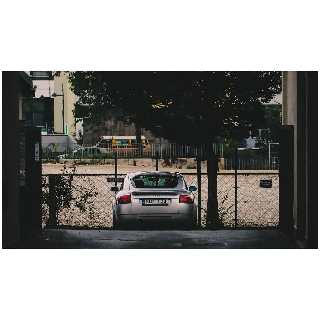 Ein silberner Audi-Auto ist im Hinterhof, eingezäunt mit einem Garten und Bäumen, sichtbar.