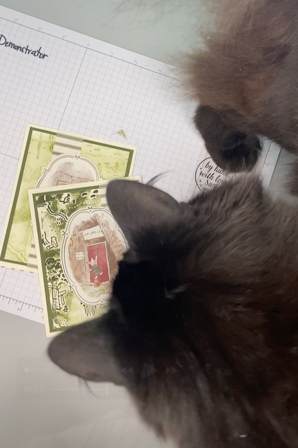 Two cats seen from above looking at decorative cards and a grid-lined sheet of paper with the word 'Demonstrator' written on it.