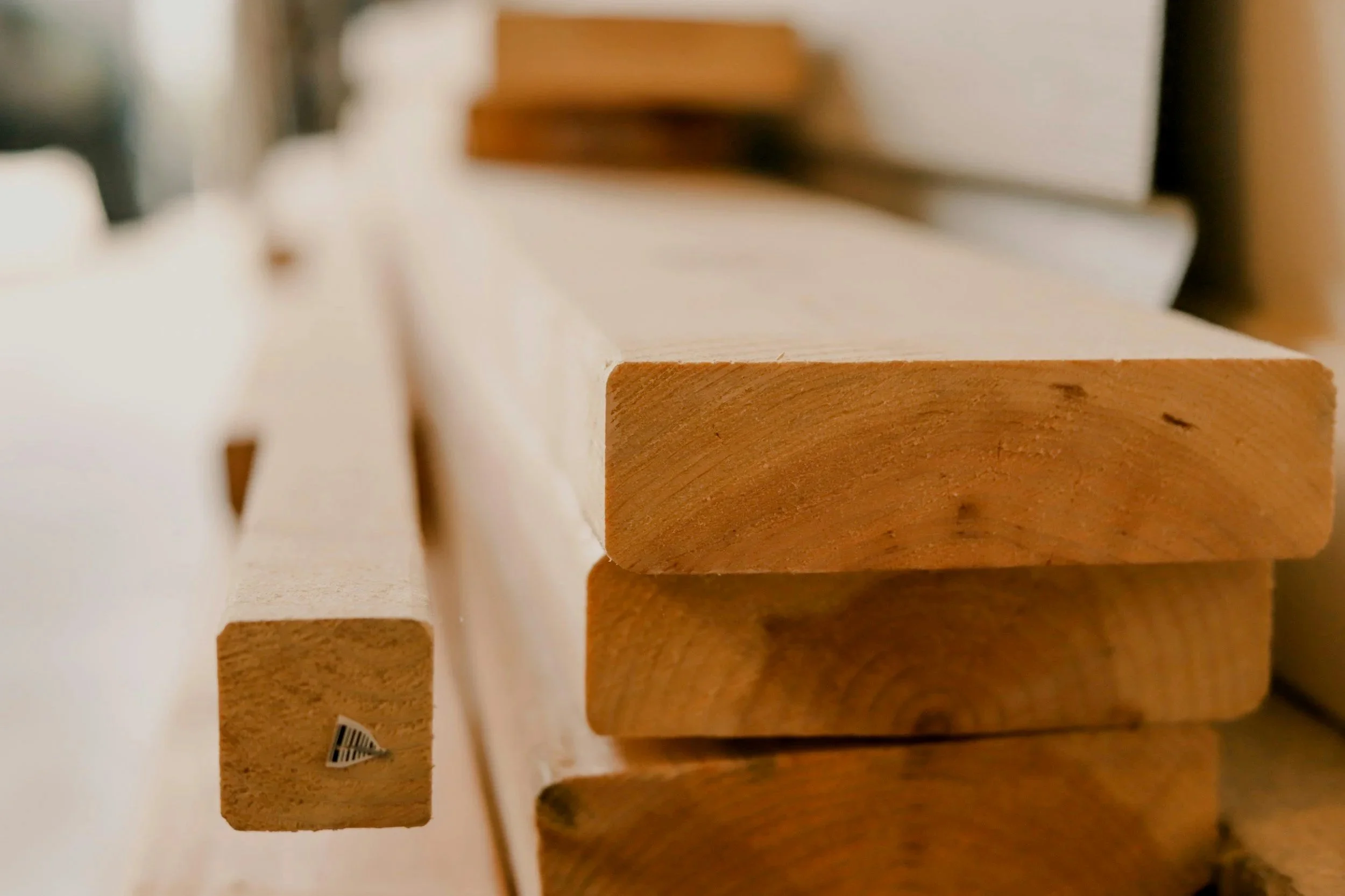 Holzstücke in unterschiedlichen Größen und Formen, nebeneinander aufgereiht.