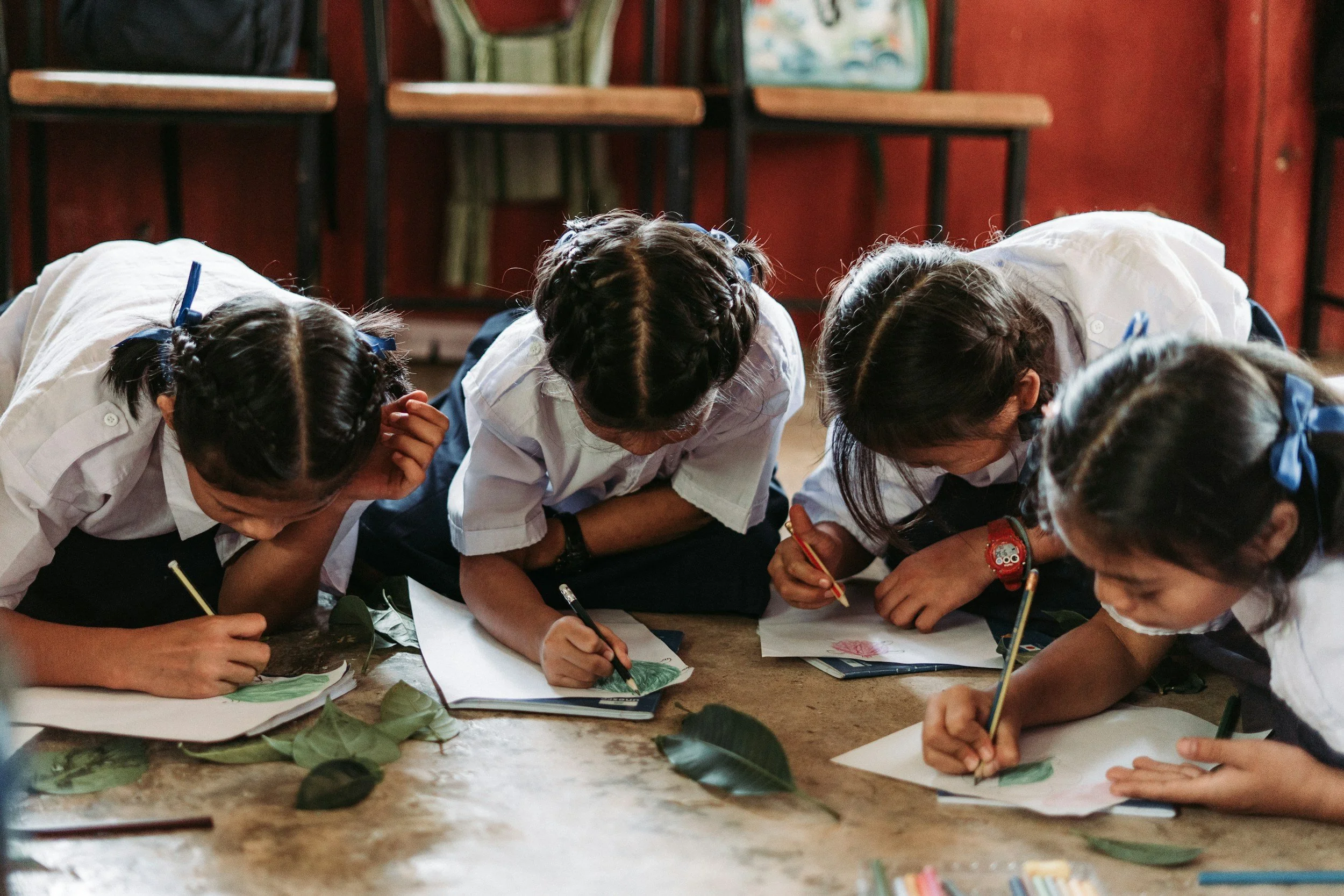 Children examining leaves together during a hands-on learning activity.