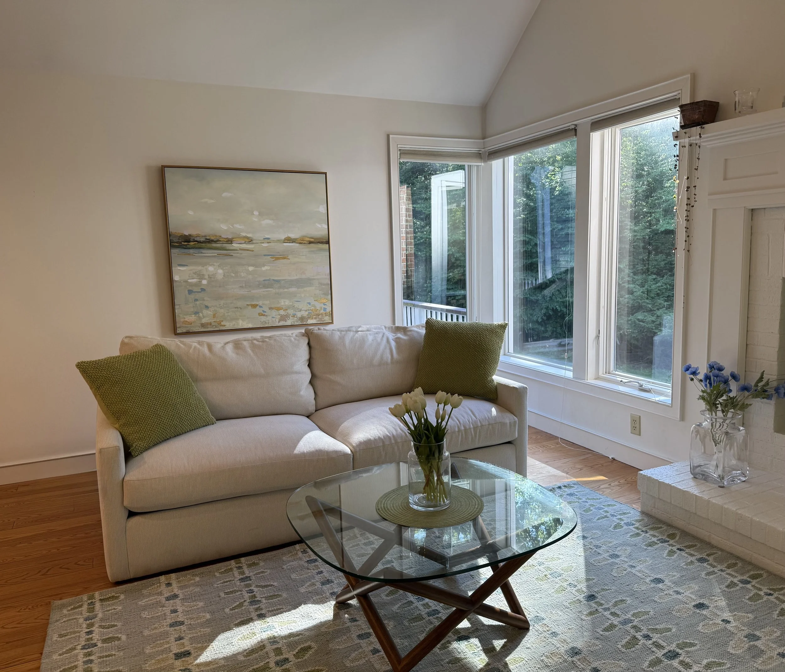 light filled living room designed by Rhonda Cohen