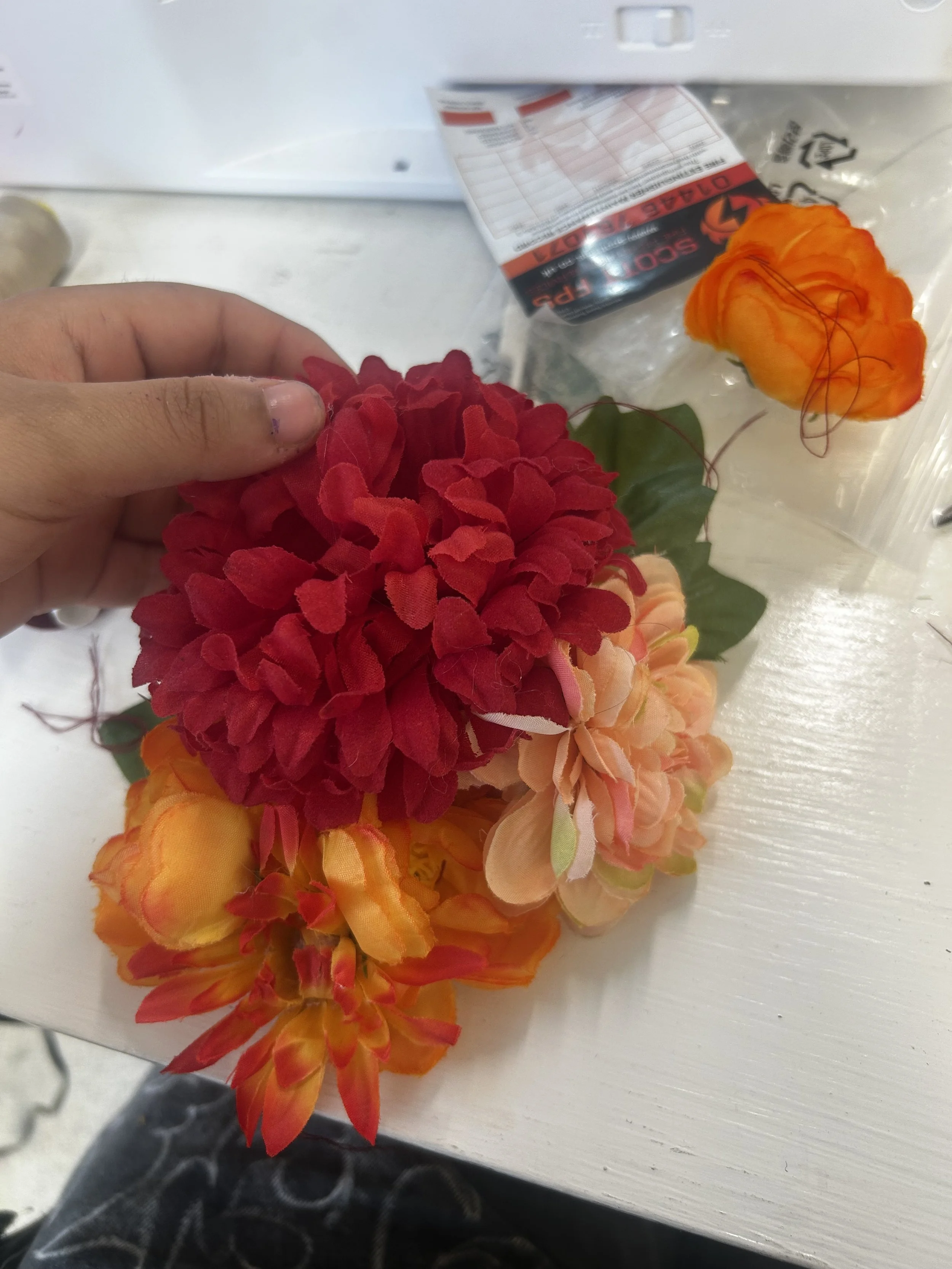 IMG_6920.jpeg