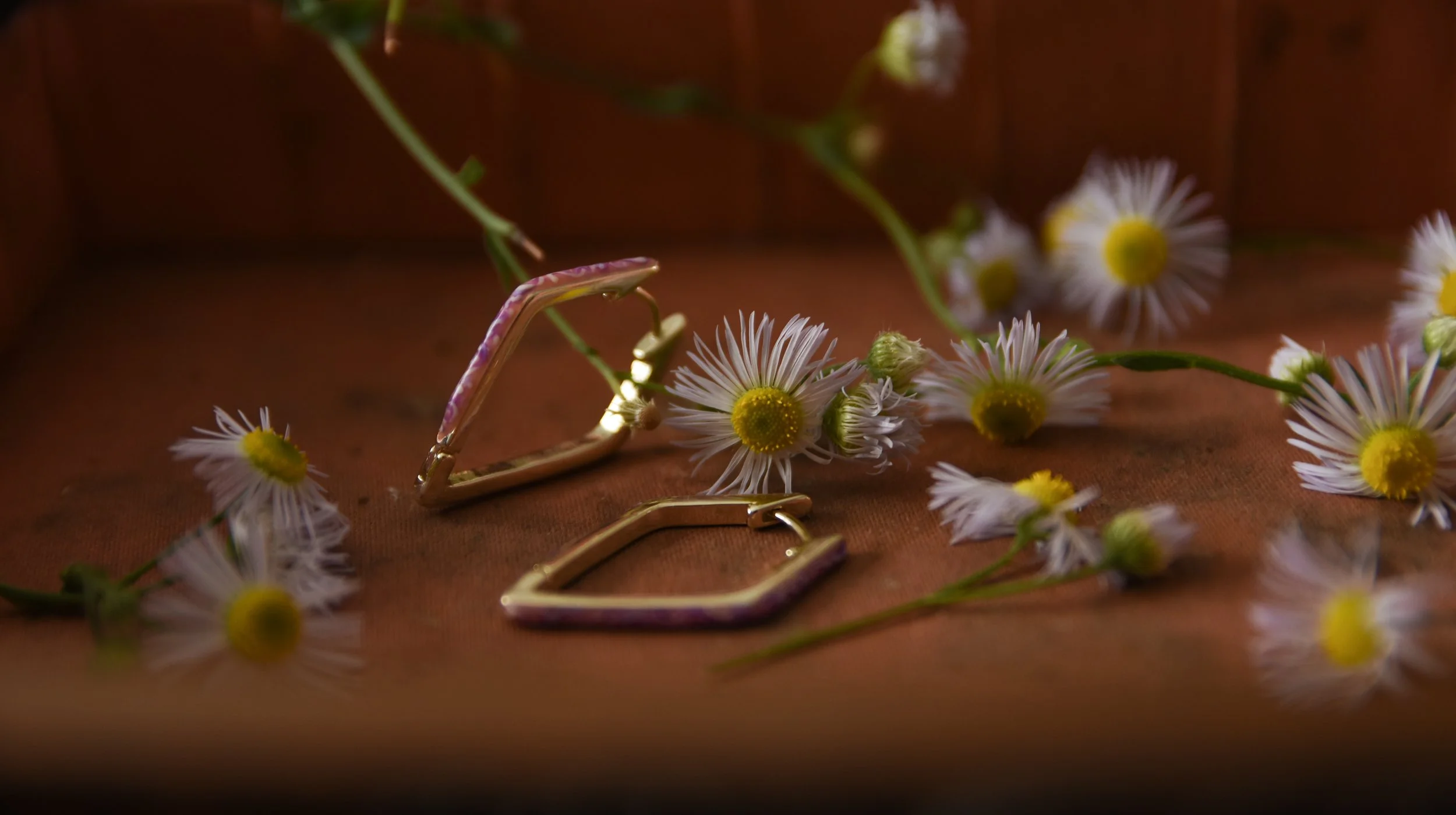 Enchanted Hoops
