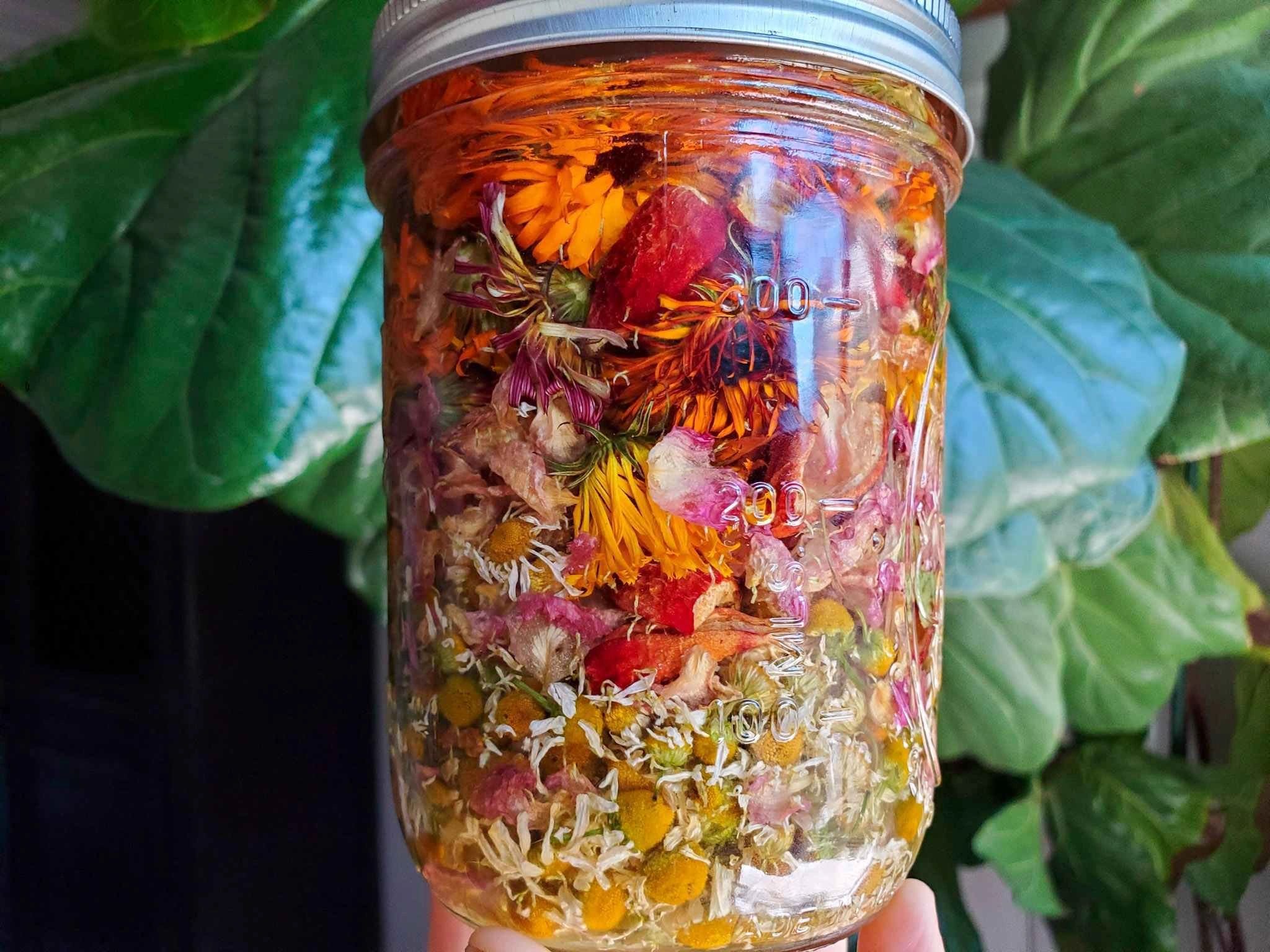 medicinal%20herbal%20infused%20oil.jpg