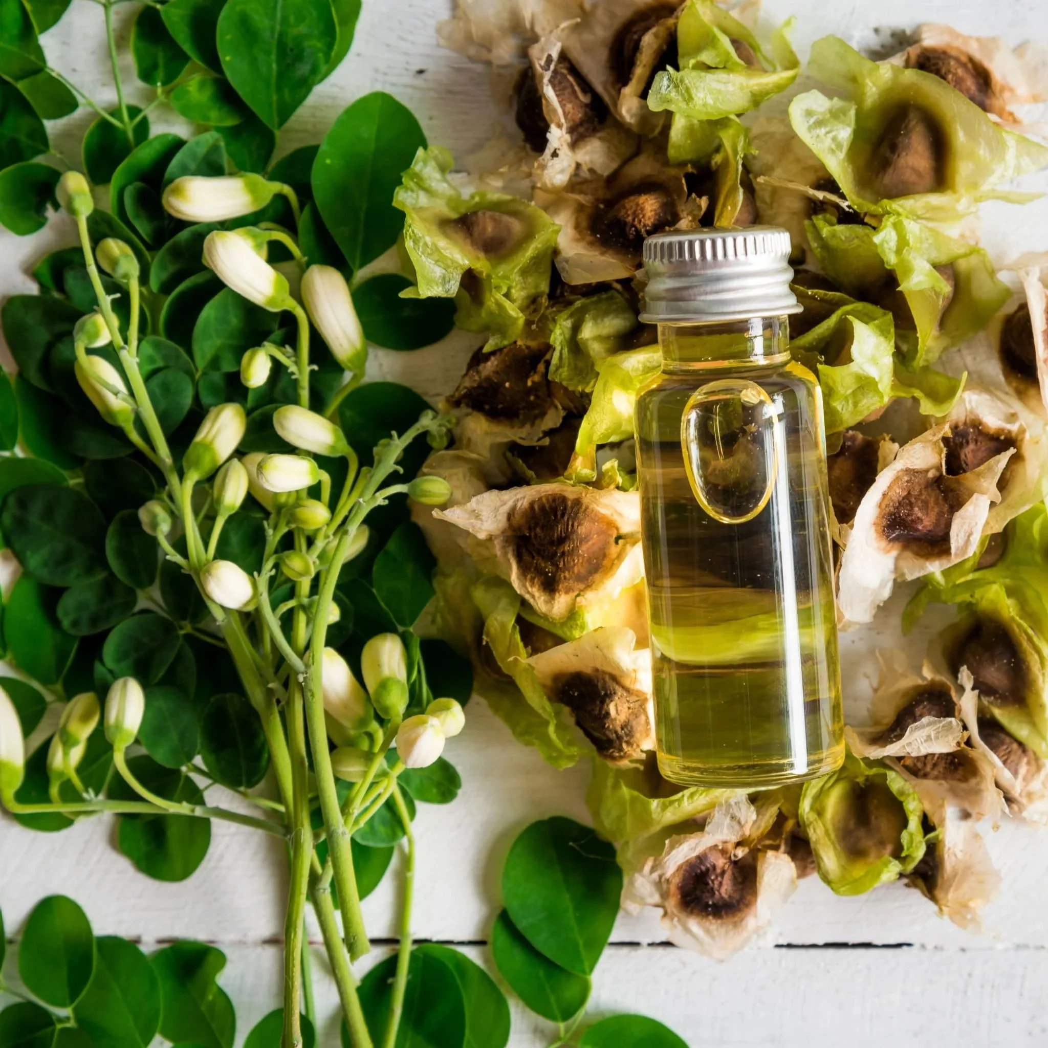 Moringa-Flowers-Seeds-and-Oil.webp