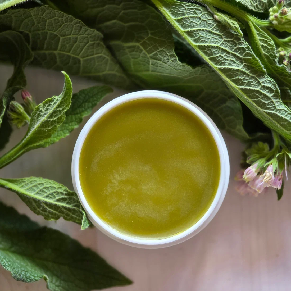 Chickweed Salve