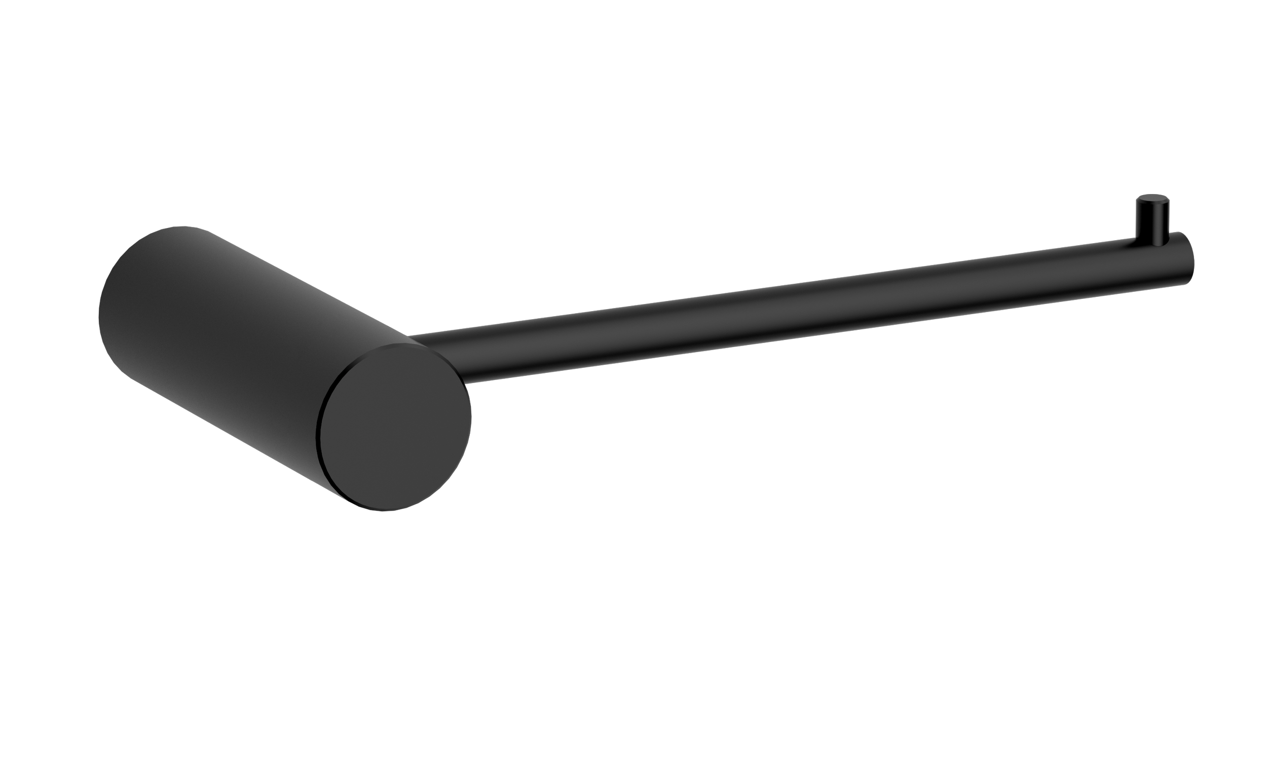 PP-1N.png