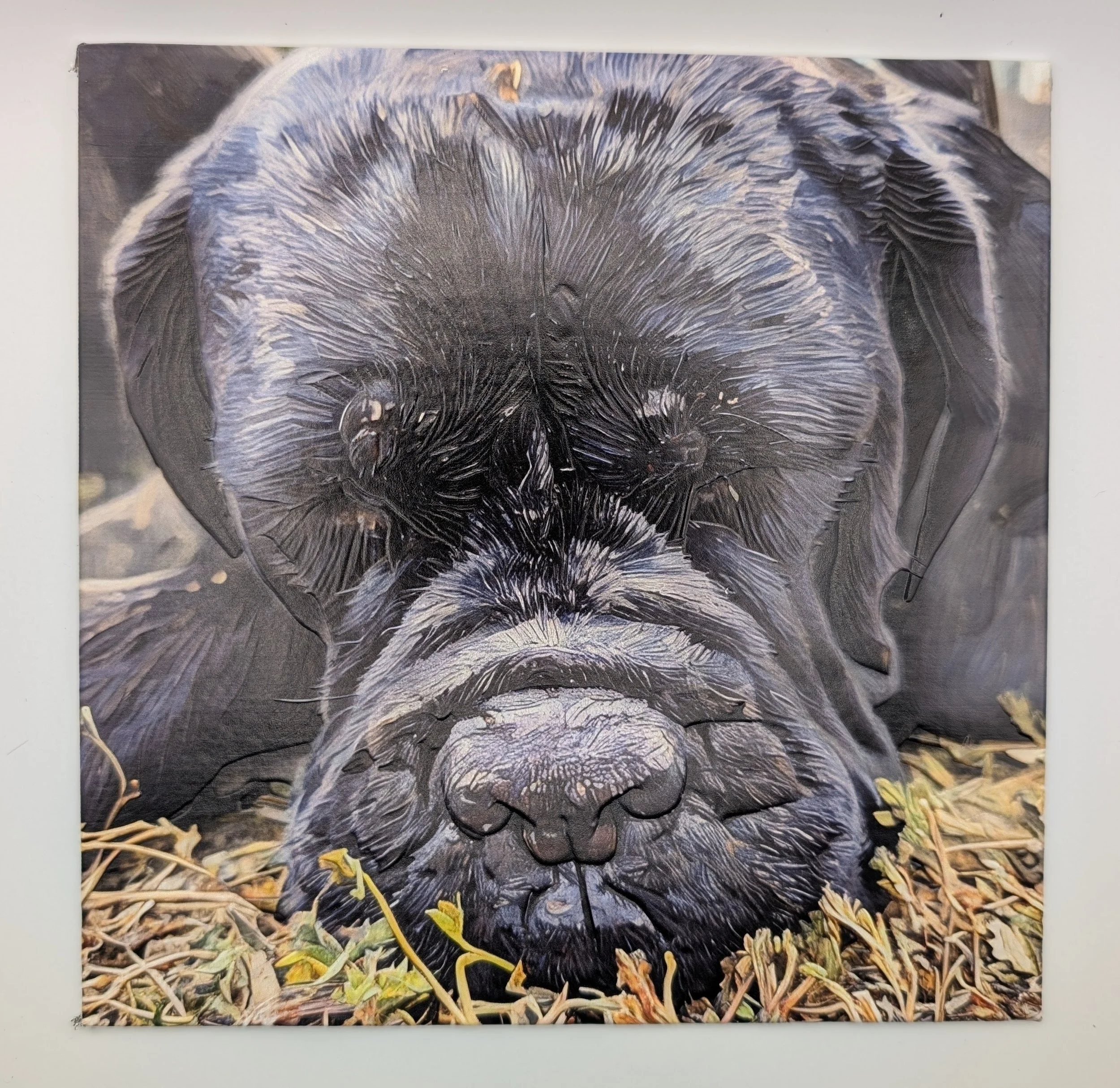 Charlotte - This pictured was captured at a Big Dogs Huge Paws BBQ, with Charlotte tuckered out from giving out so much love. We added some light brushstrokes to accentuate her natural neauty.