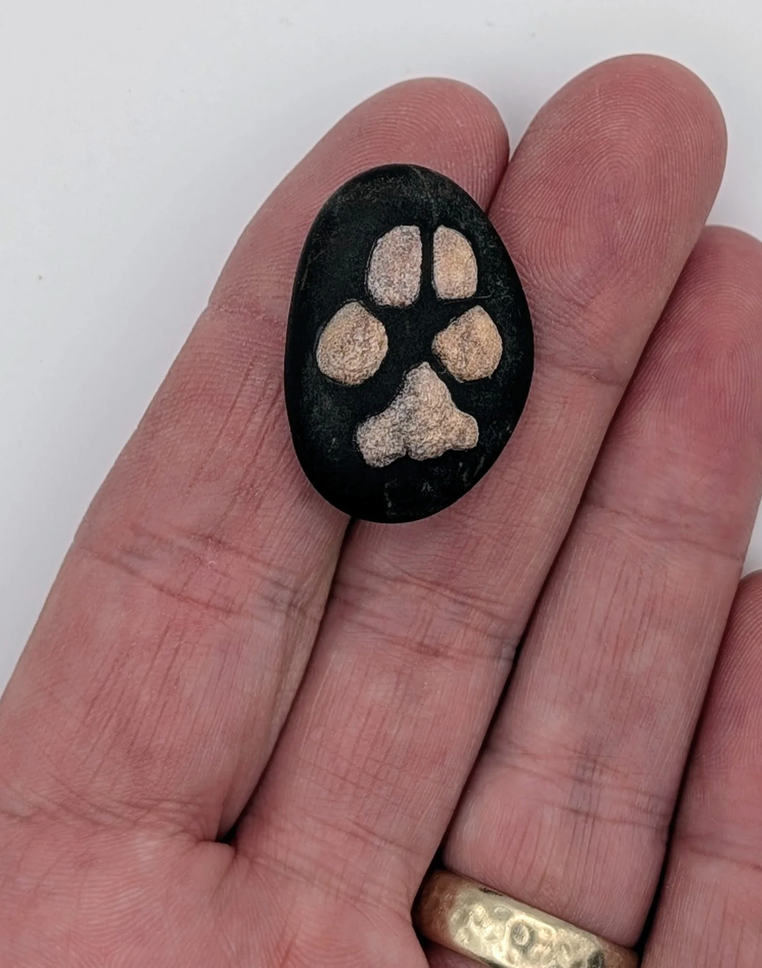 Wash - This was the first comfort stone we made. Wash's naturally black paws were brown from dust outside. We started wiping paws down for pictures after this.