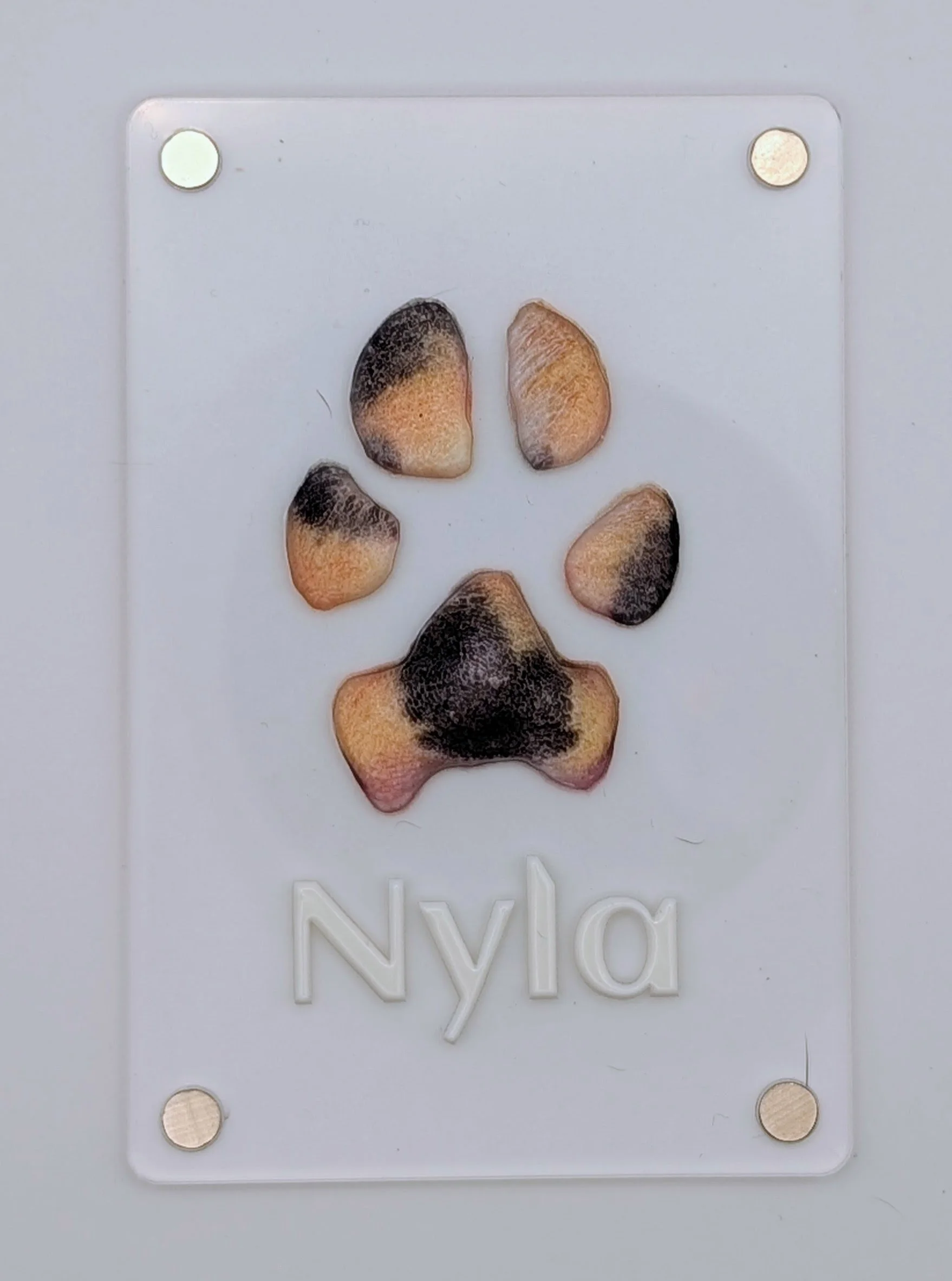 Nyla - This was the first Pactile we did on an acylic magnet. Her mom was delighted at how her and her brother's (Finn) paws showed so much personality through their color.