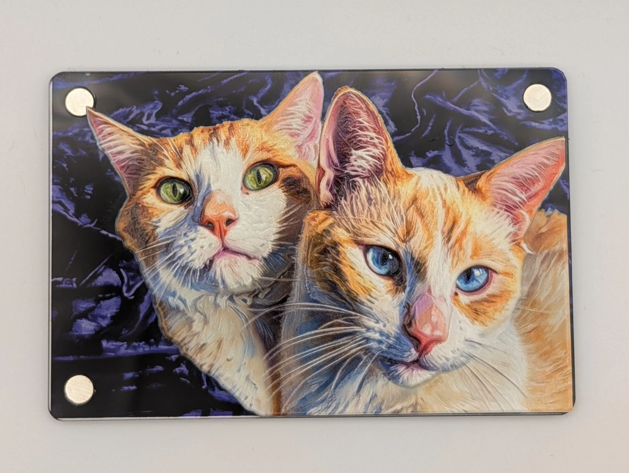 Acrylic Magnet Oli & Zuko.jpg