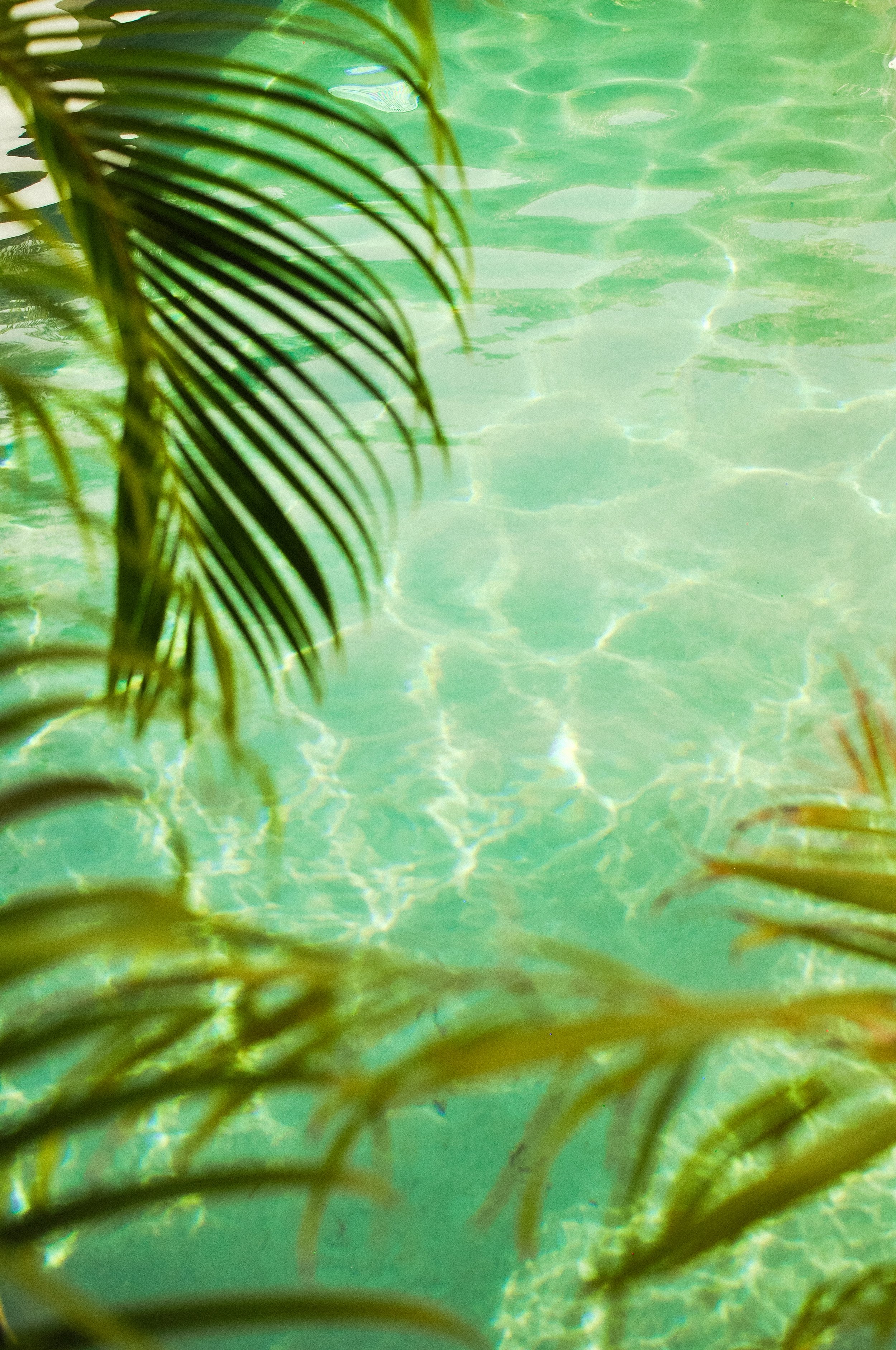_DSC0236 3.JPG