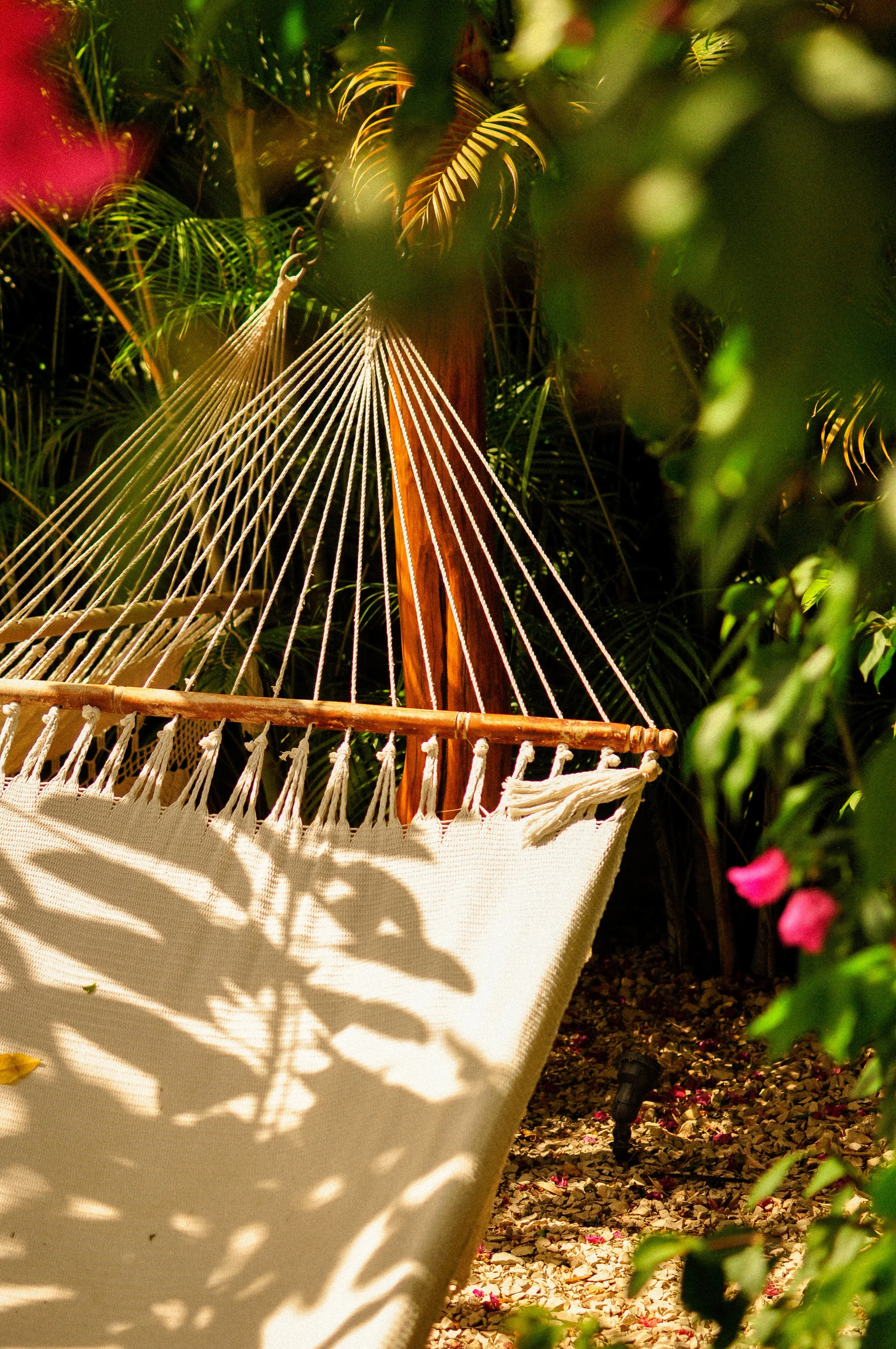 A white hammock hanging in a garden with green plants and pink flowers, with shadows cast on the hammock from the leaves.