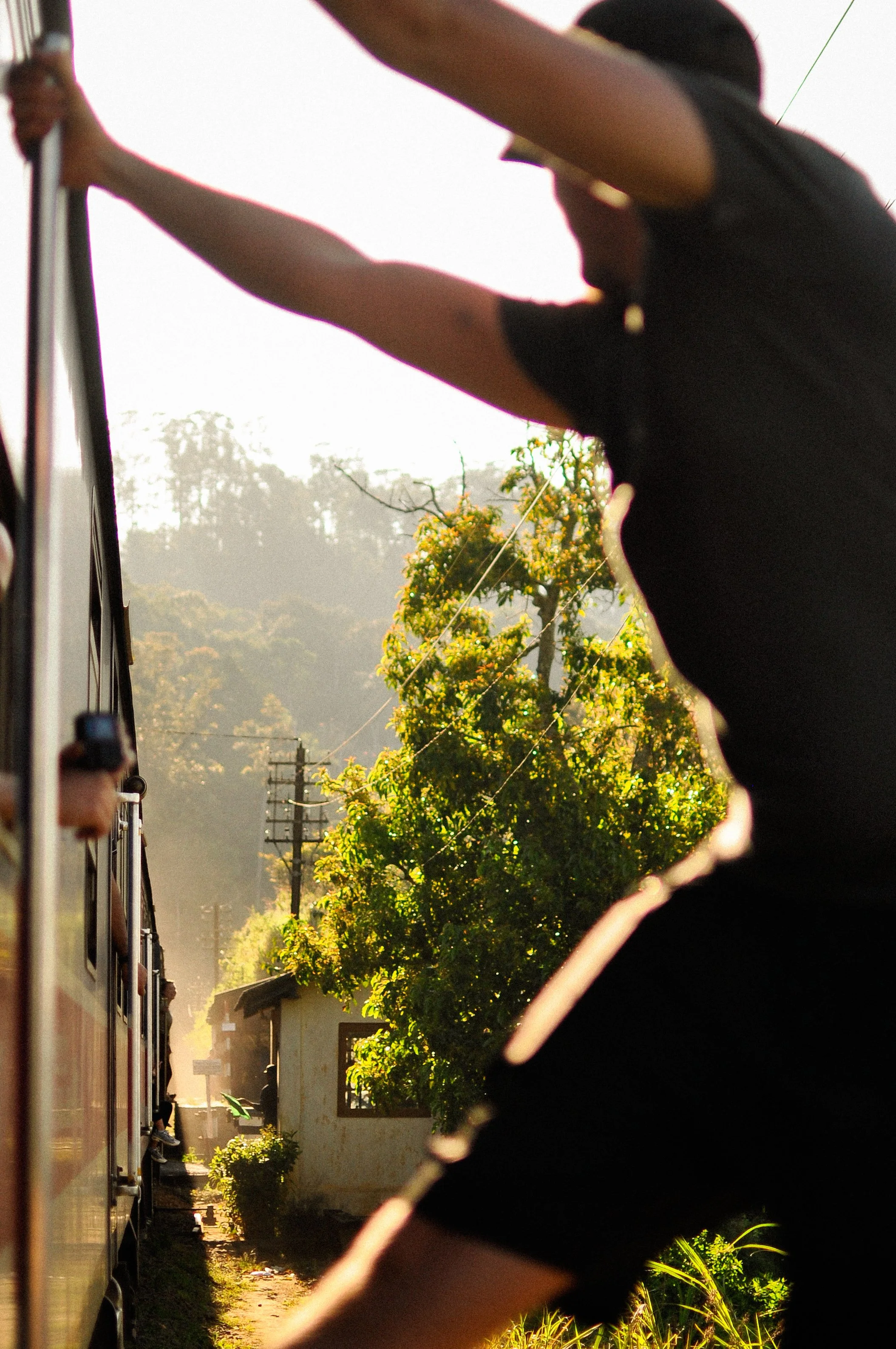 A person with dark hair and wearing a black shirt leans out of a moving train, looking back and holding onto the train's door frame with hands. Sunlight filters through trees in the background, with power lines and a small building visible.