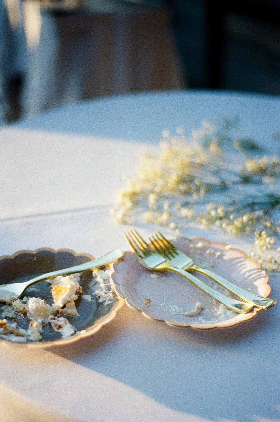 septfilm-30.jpg