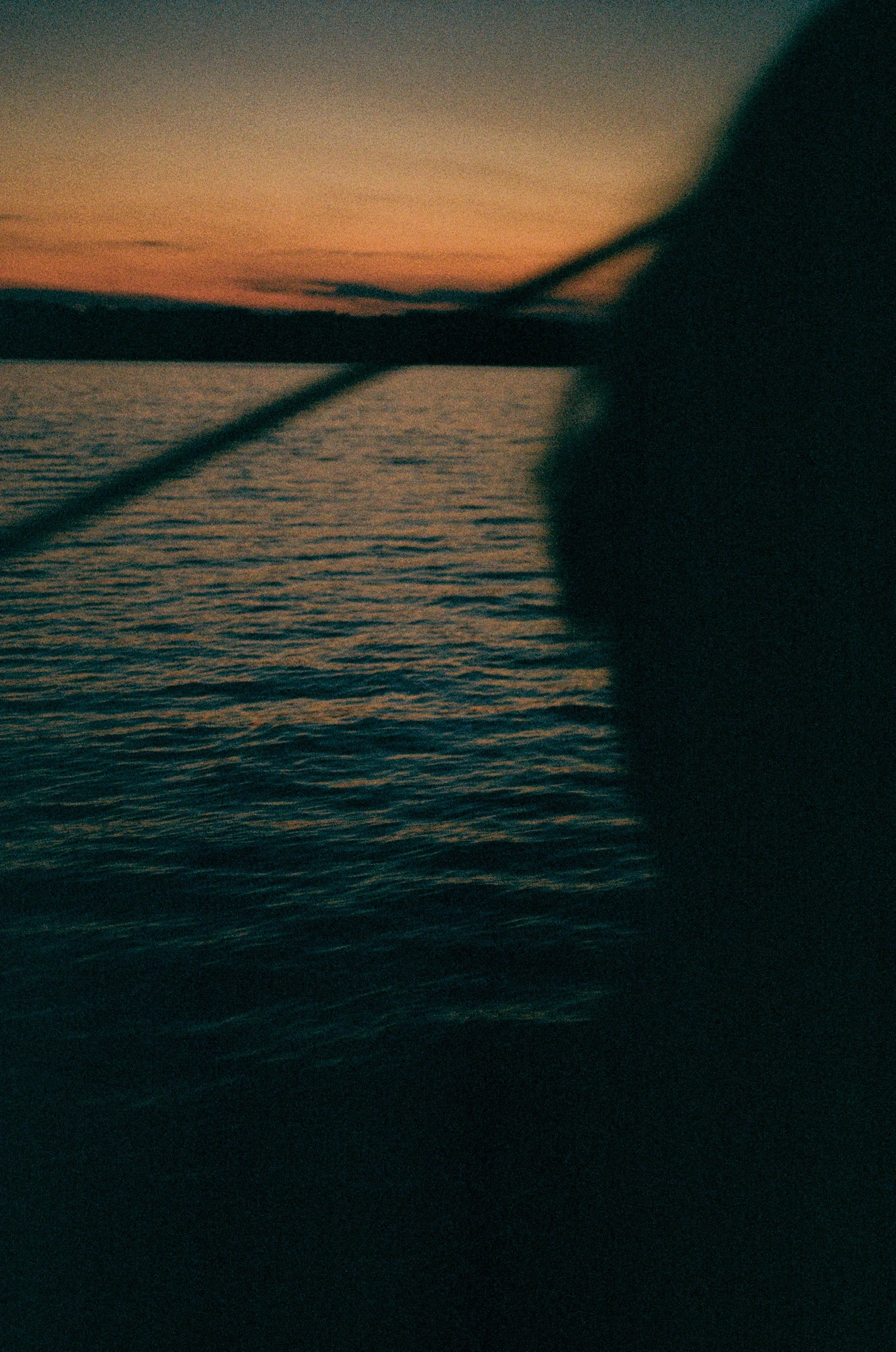 FilmScans-15.jpg