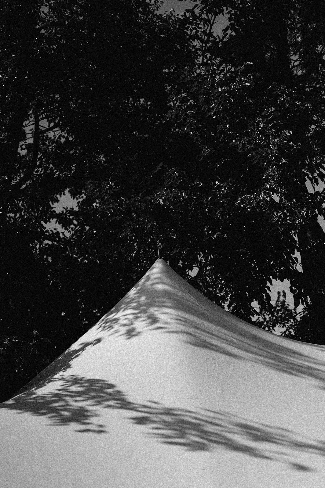 backyardwedding-553.jpg