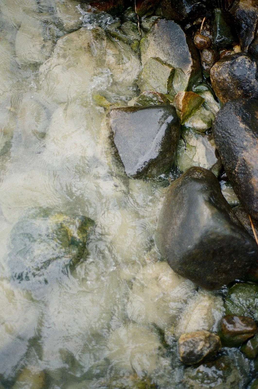 35mm (179 of 218).jpg