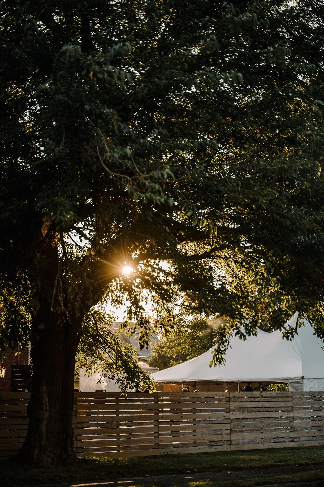 backyardwedding-1036.jpg