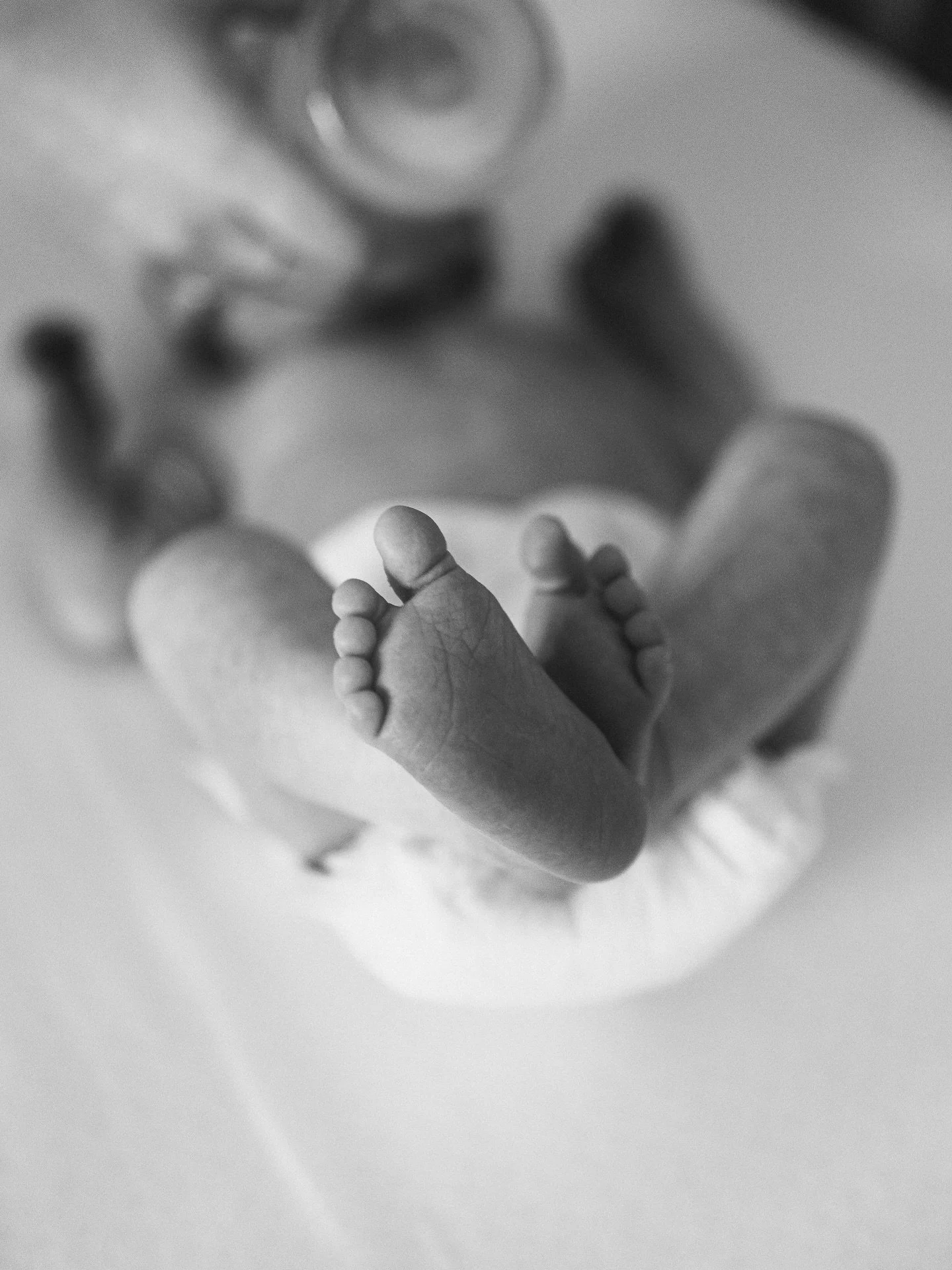 Welcome to the world, Ollie! We love you so much! 🤍

📷 @maditaylor.photo @maditaylor.family