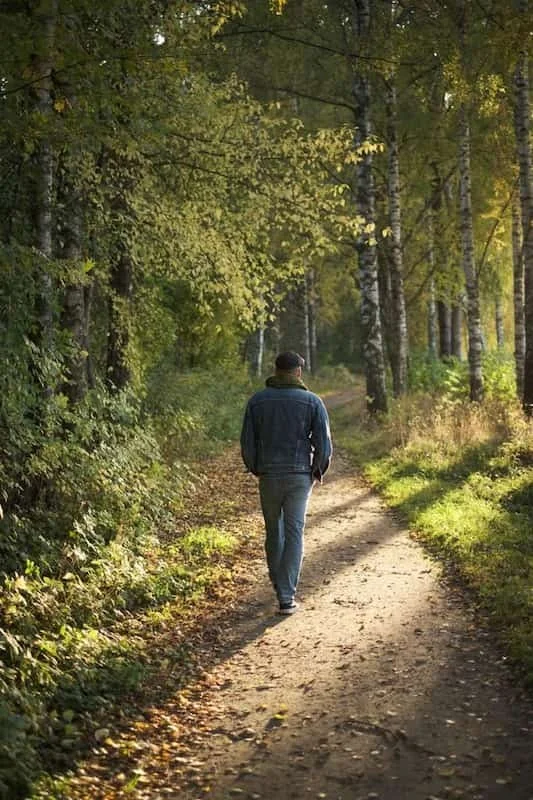 A man walking down a path alone