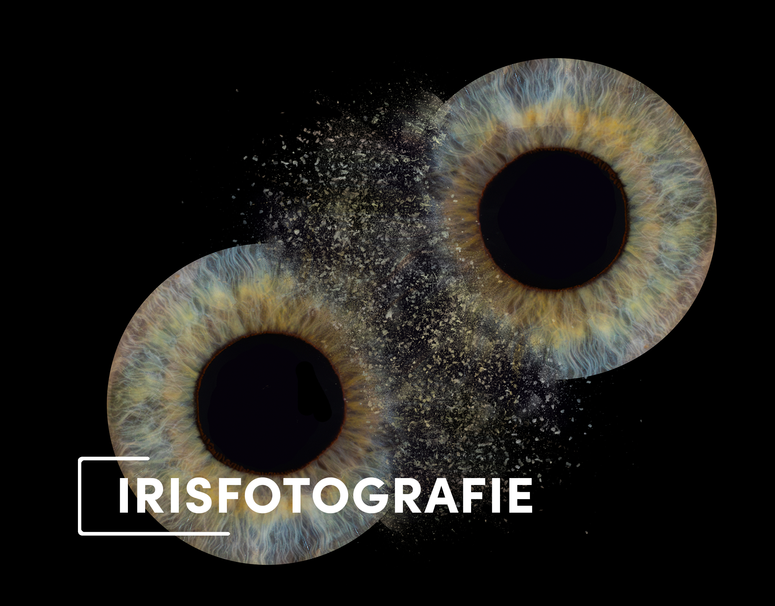 Irisfotografie