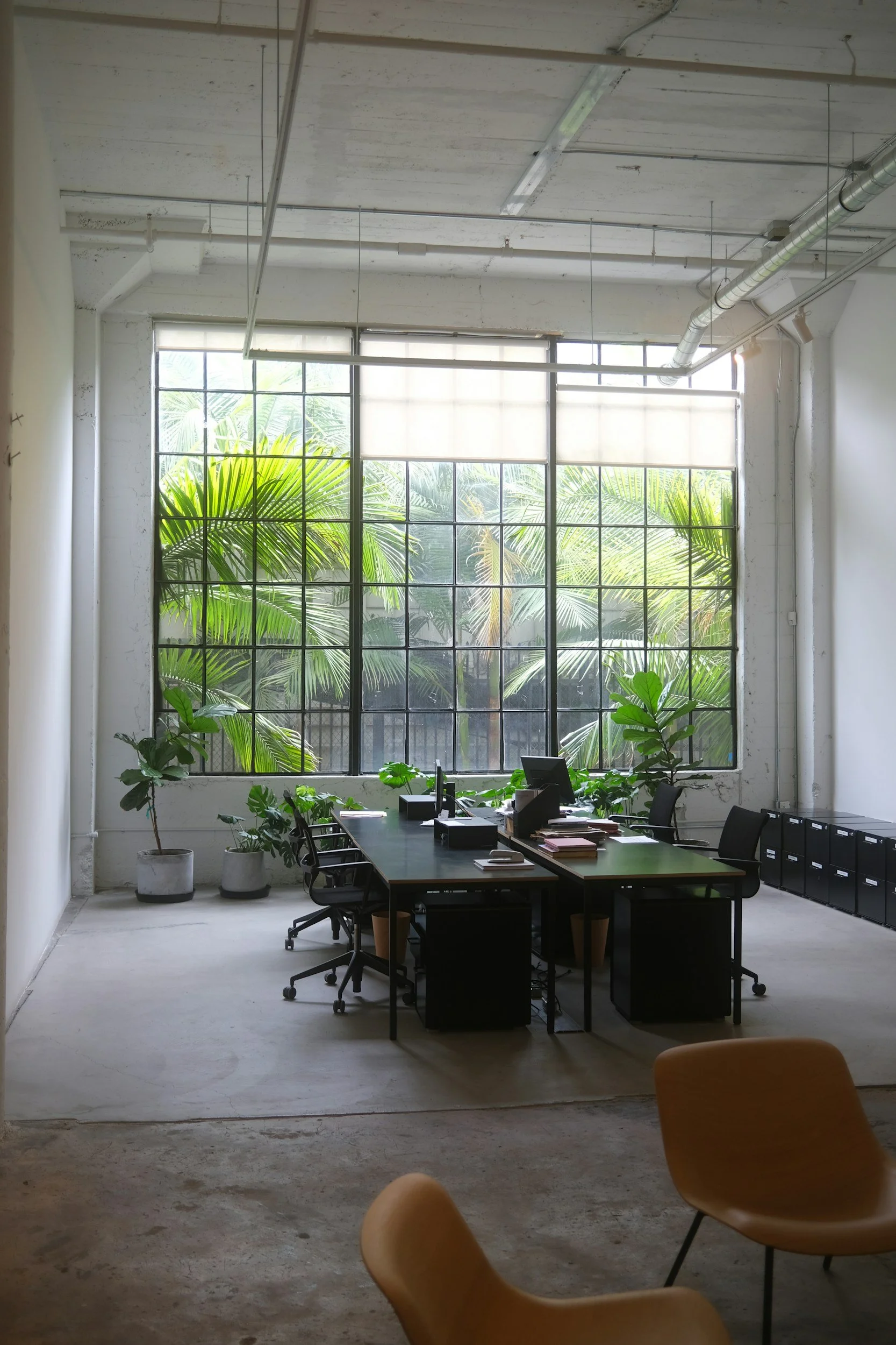 Modern office with large window, green plants, black desks, and chairs in an industrial style space.