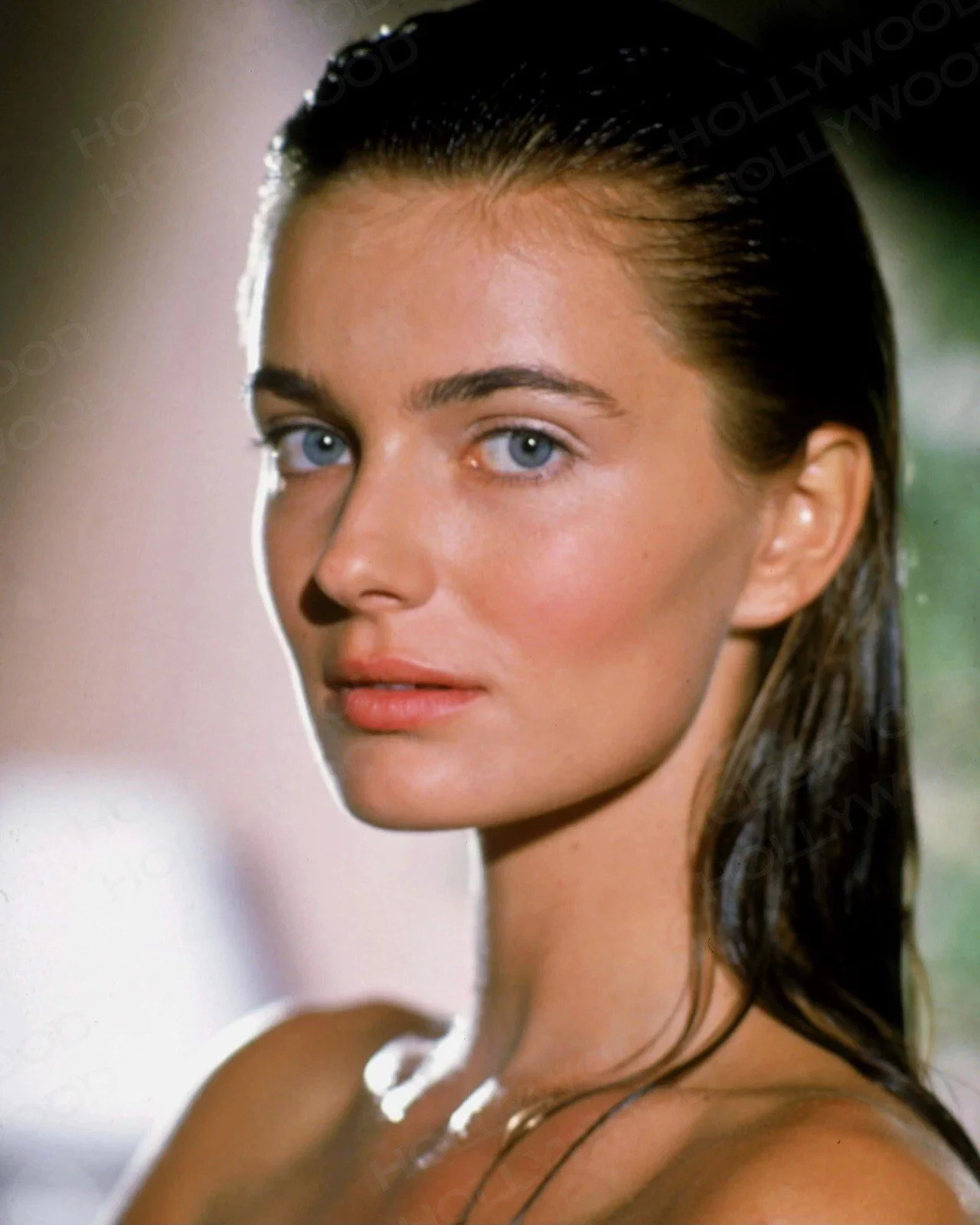 Paulina Porizkova Photo  Glossy Sexy Beautiful Ultra HD Art Print Celebrity