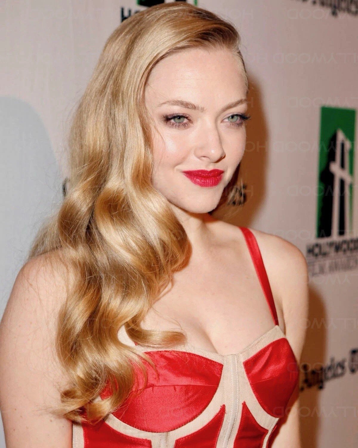Amanda Seyfried Photo  Glossy Ultra HD Art Print Celebrity 278047616365.jpg