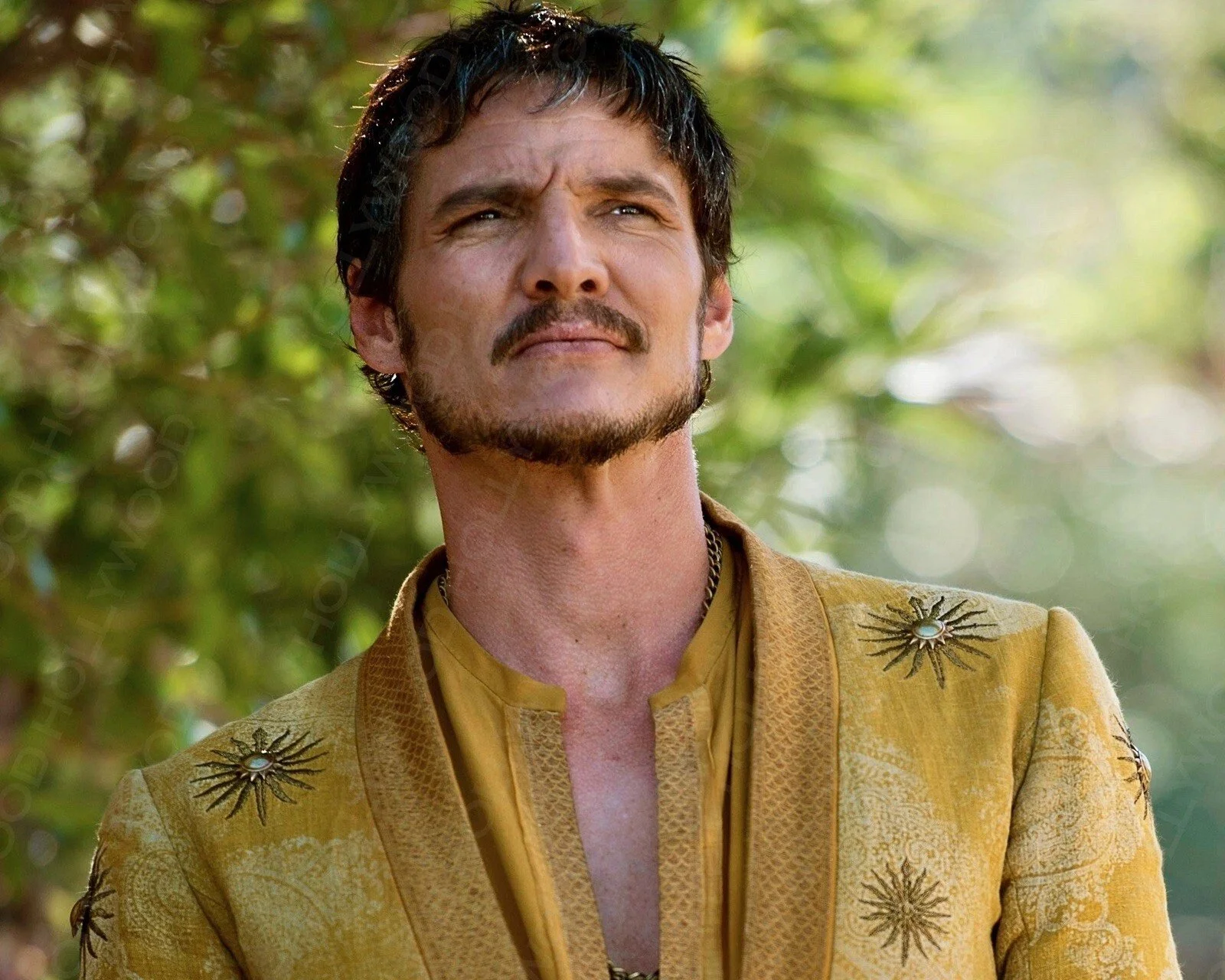 Pedro Pascal Photo  Glossy Ultra HD Premium Print Borderless Celebrity