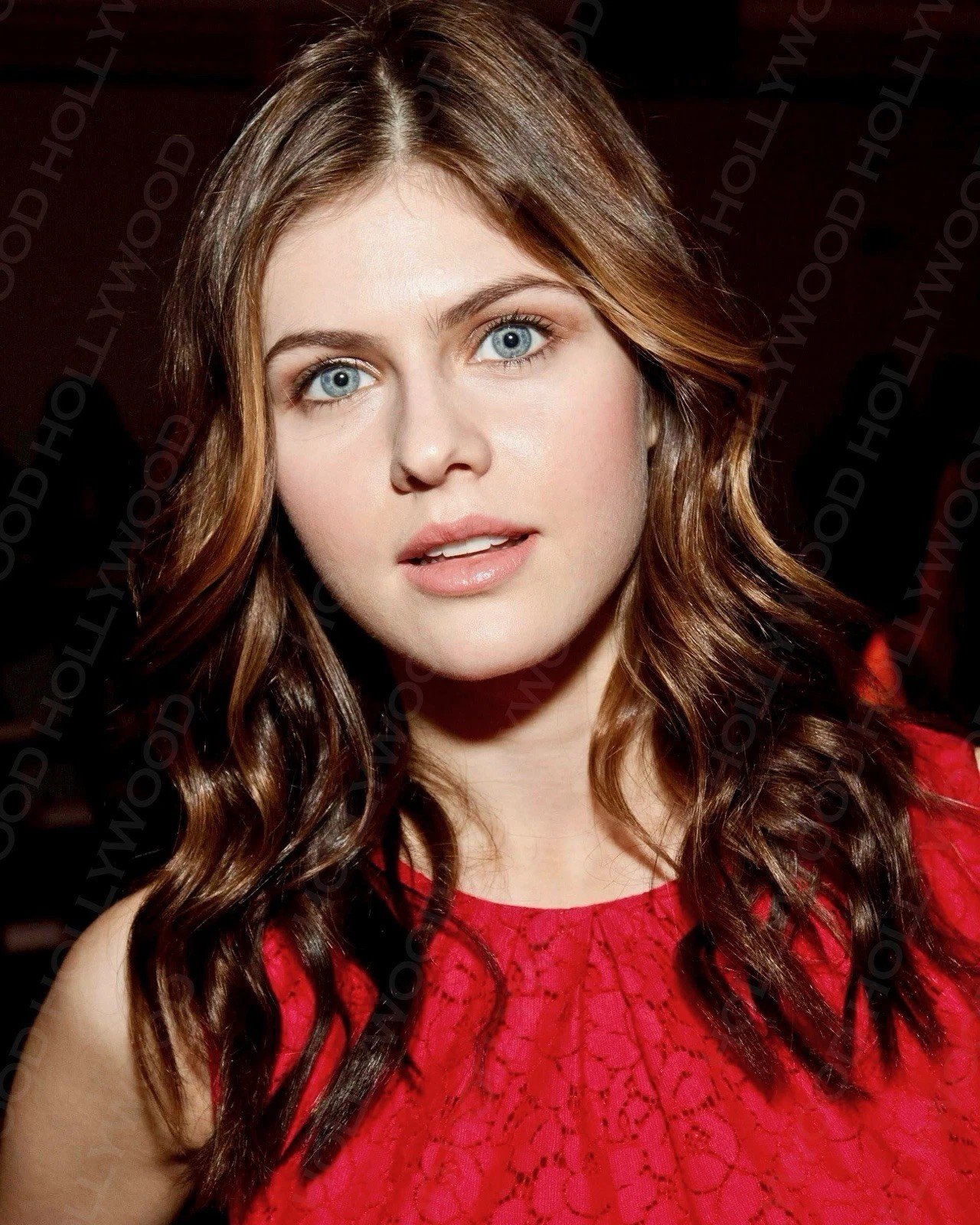 Alexandra Daddario Photo  Glossy Ultra HD Beautiful Borderless Celebrity 278250339326.jpg