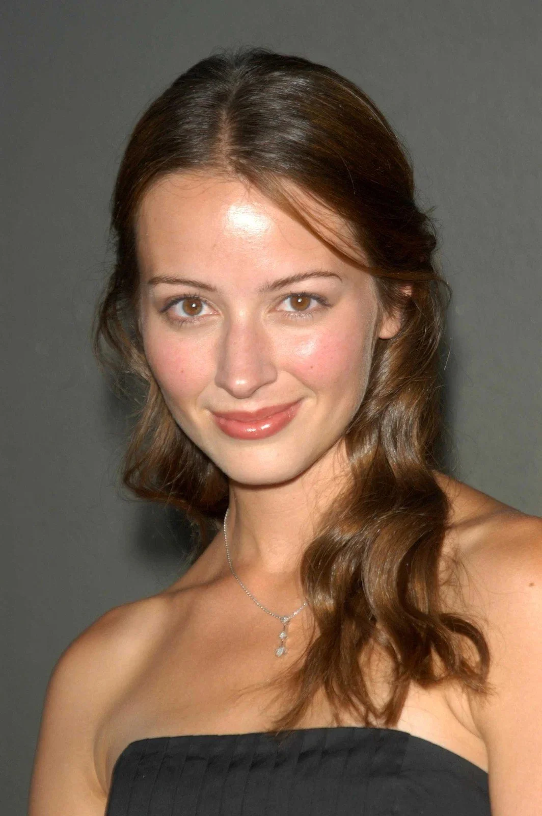 Amy Acker Photo  Sexy Beautiful Glossy Ultra HD Art Print Celebrity 278133707221.jpg