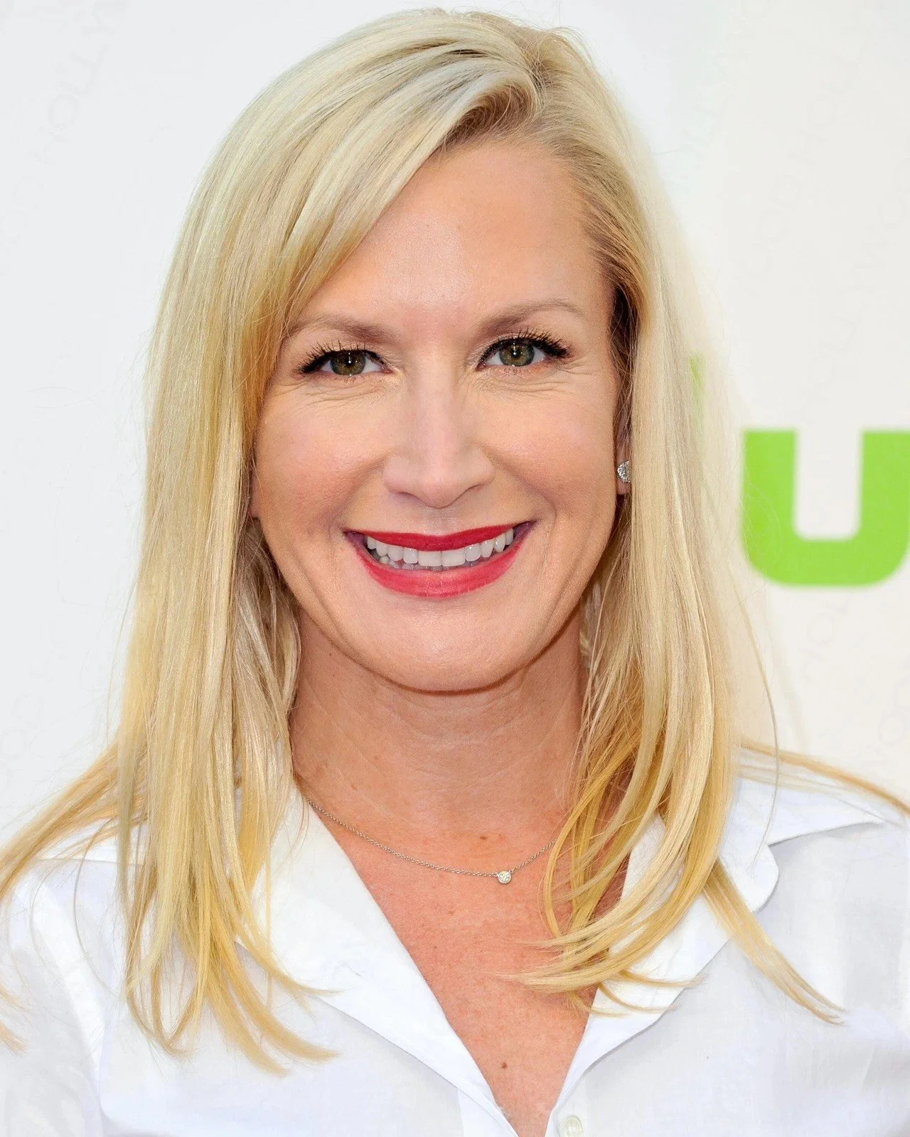 Angela Kinsey Photo  Glossy Sexy Beautiful Ultra HD Art Print Celebrity 278133645429.jpg