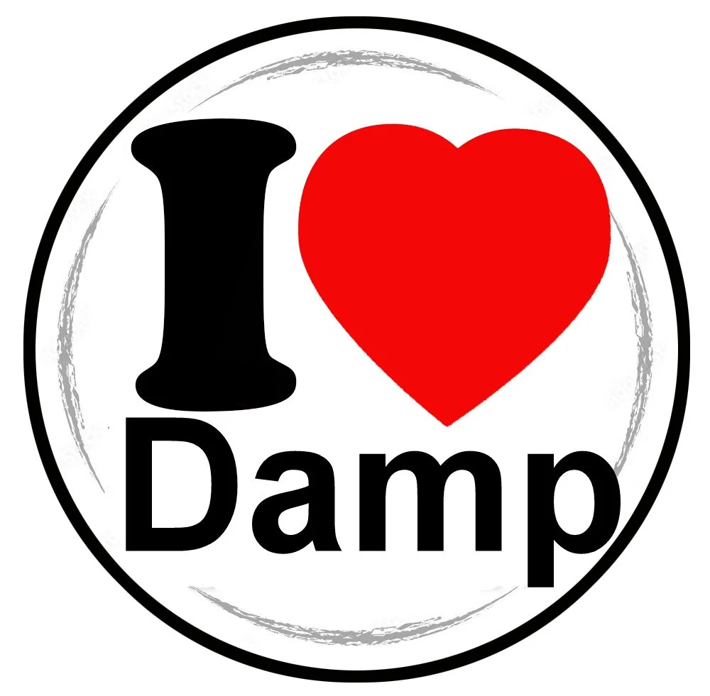 Damp.jpg