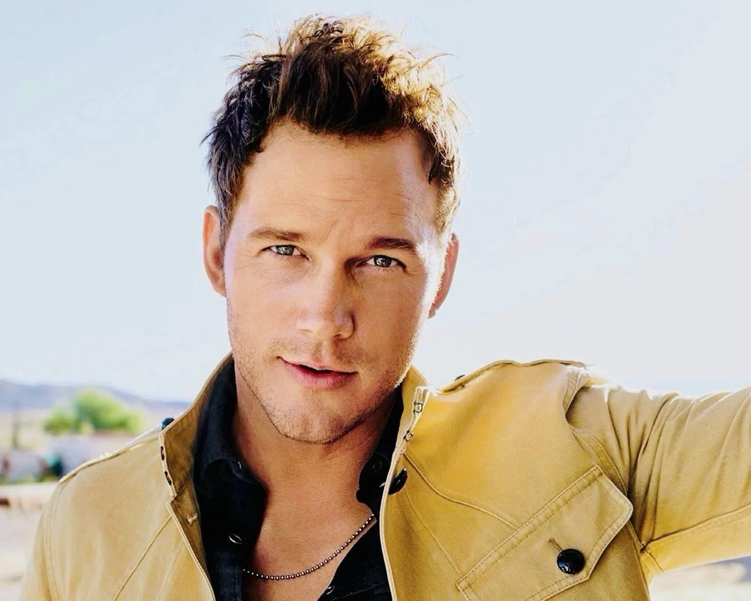 Chris Pratt Photo  Glossy Ultra HD Premium Print Borderless Celebrity 278043996276.jpg