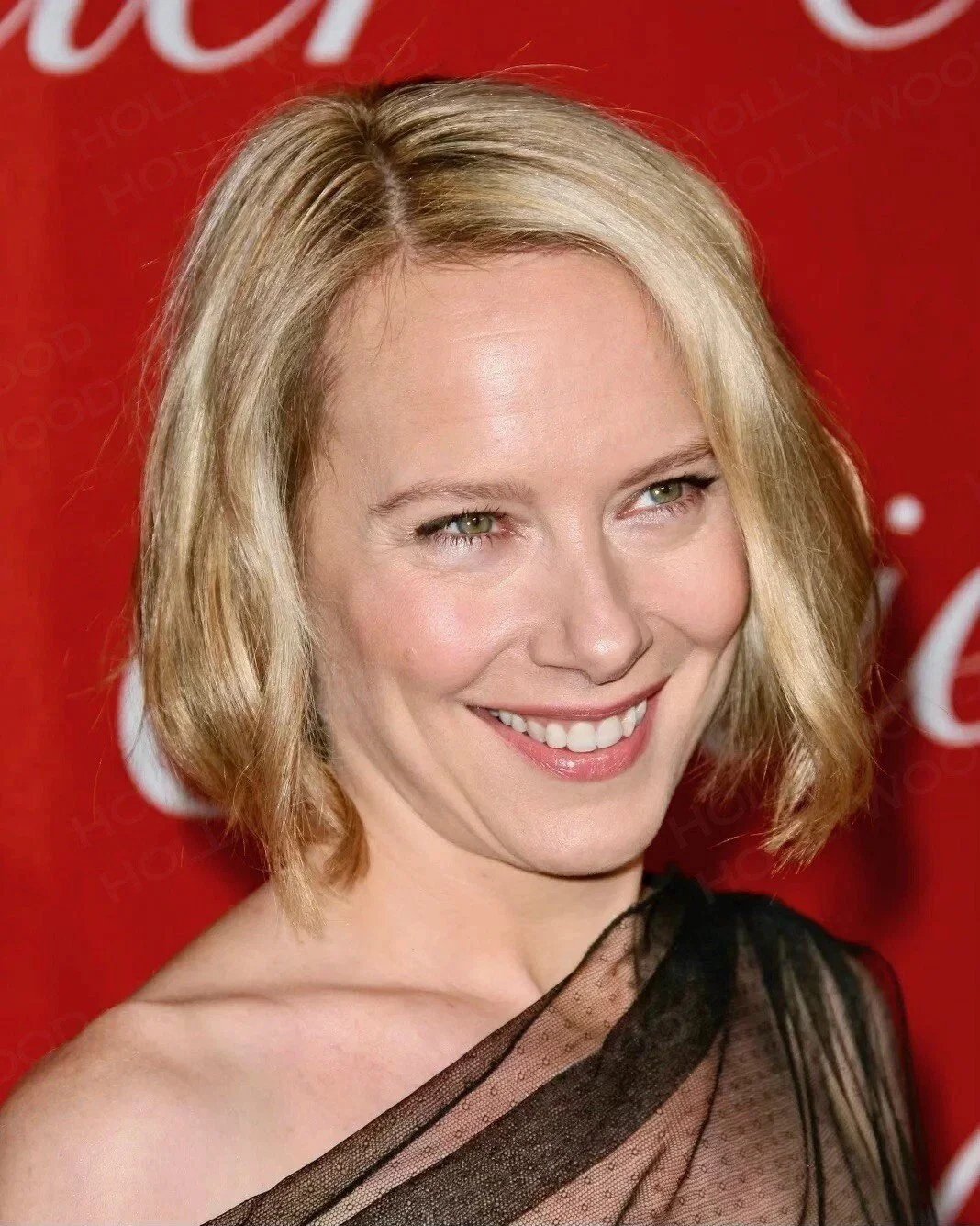 Amy Ryan Photo  Sexy Beautiful Glossy Ultra HD Art Print Celebrity 278133707259.jpg