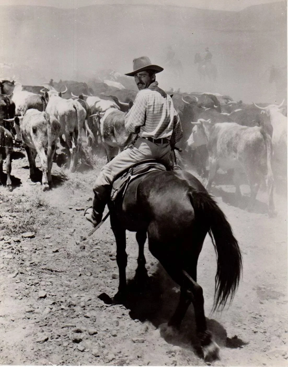 Cowboy Vintage.jpg