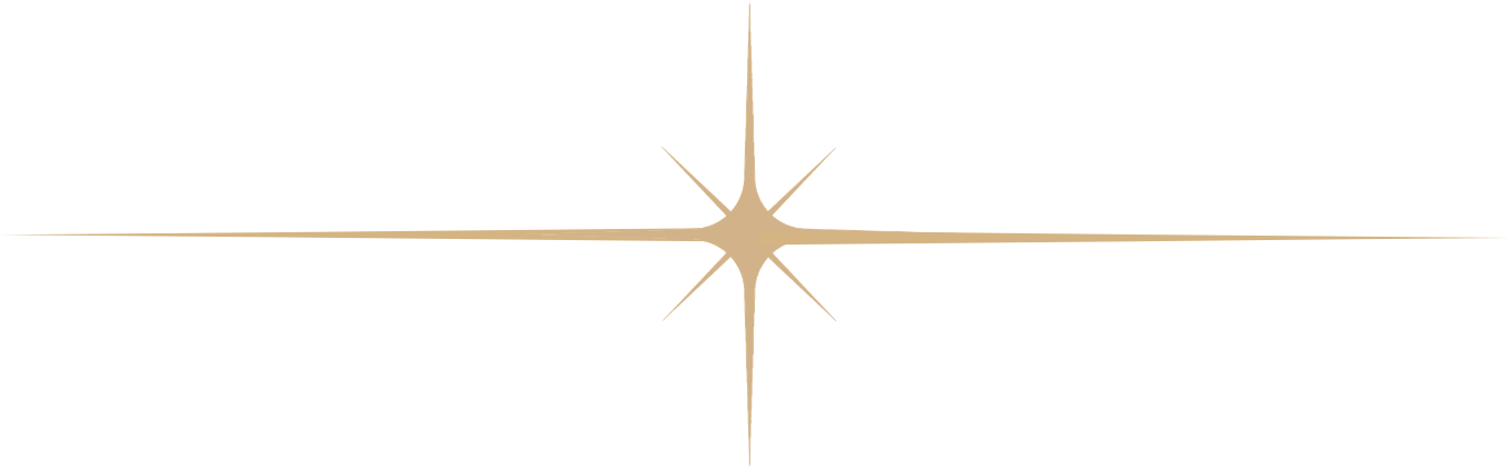 A metallic decoration with a star shape and radiating lines against a black background.