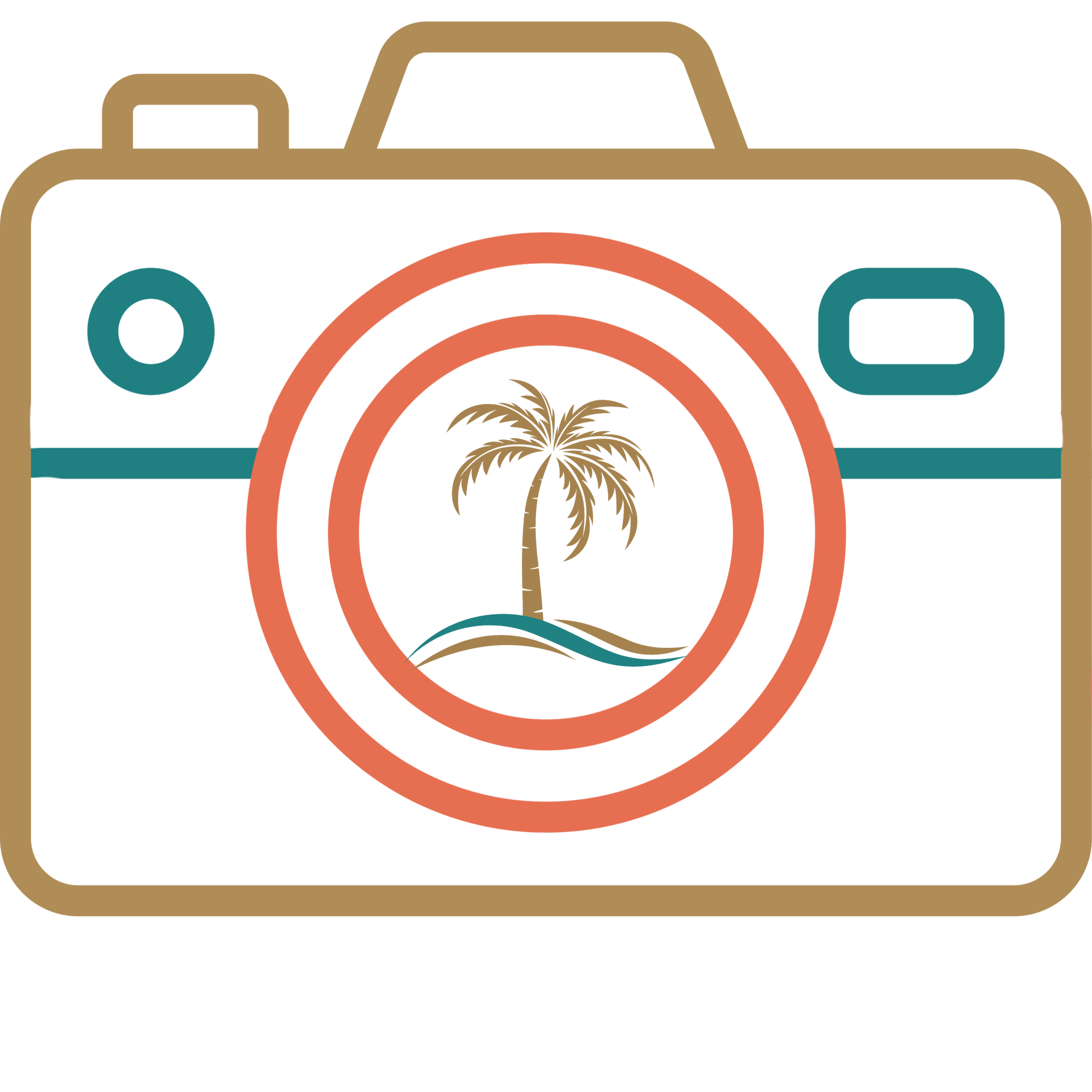 A digital illustration resembling a vintage camera with a palm tree inside the lens area, surrounded by concentric circles.