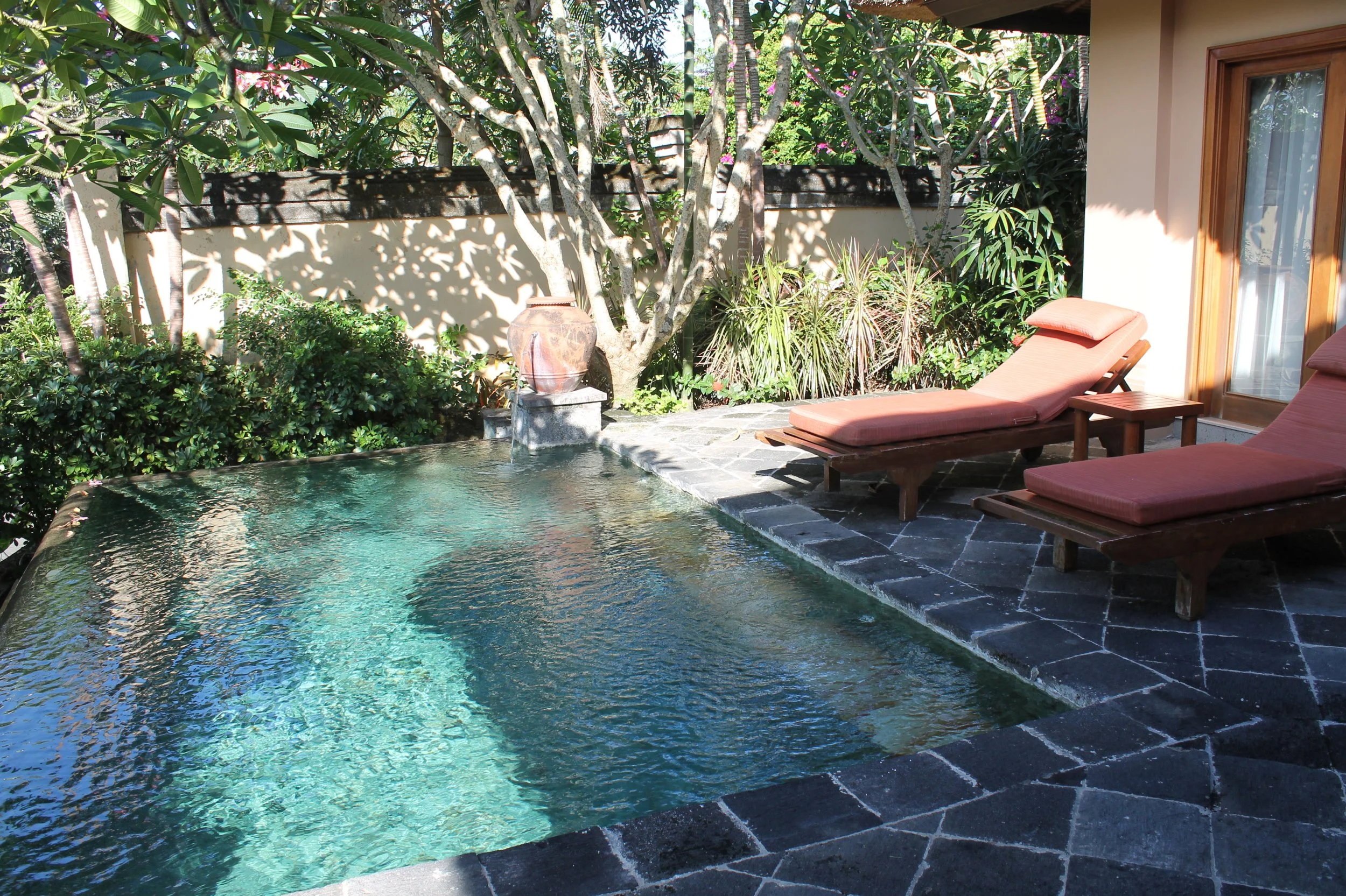 A backyard scene featuring a small swimming pool with clear water, two lounge chairs with pink cushions, lush green plants and trees, a decorative urn, and a stone patio area, with a fence and house wall in the background.