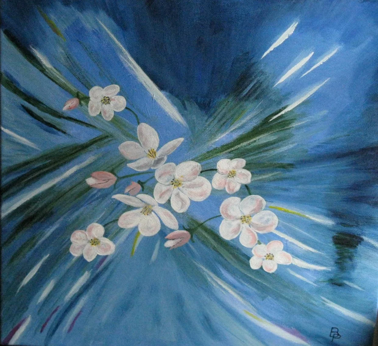 Fleurs d'oranger