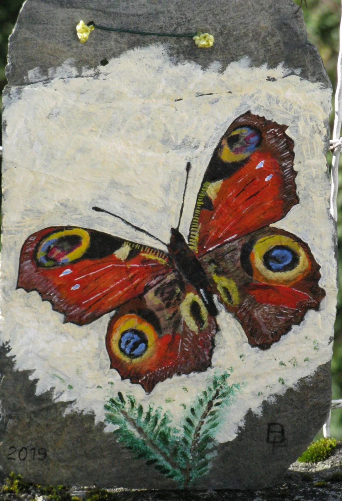 275- papillon paon.JPG