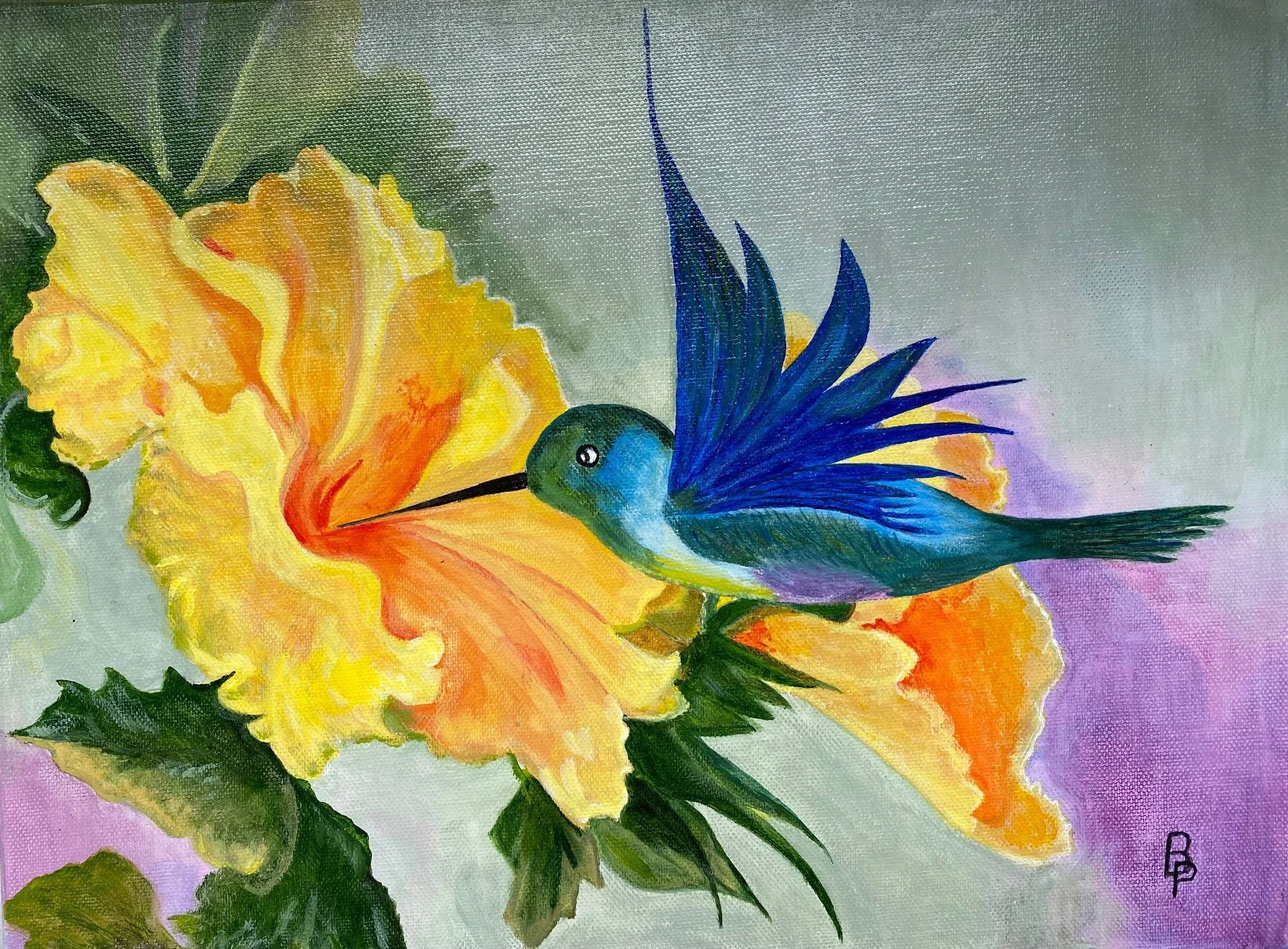 311 colibri.jpg