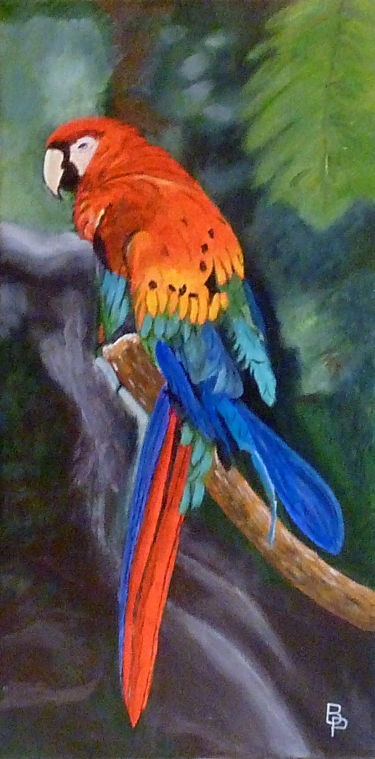 Le perroquet