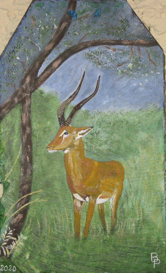 284-Impala.JPG