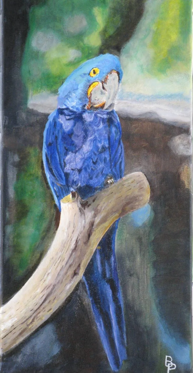 L'ara
