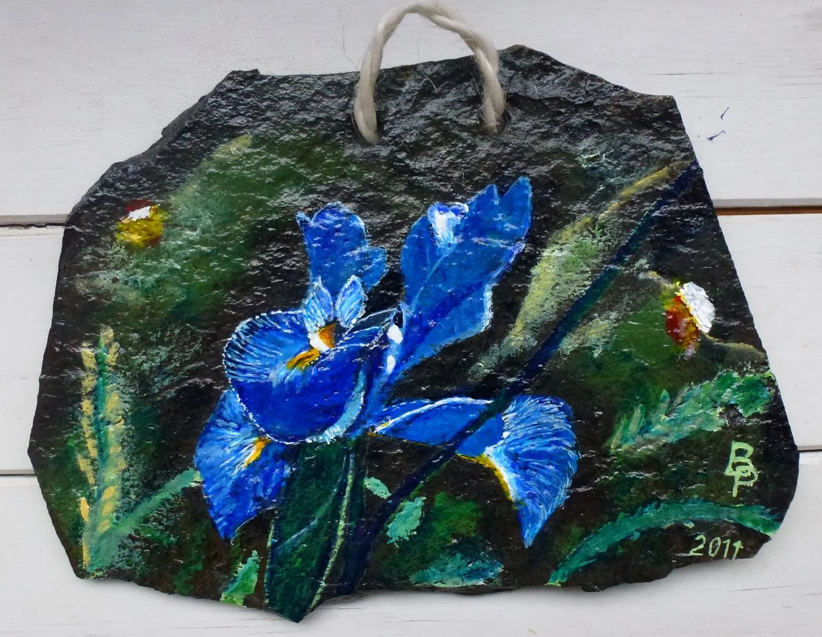 162- l'iris des montagnes.JPG