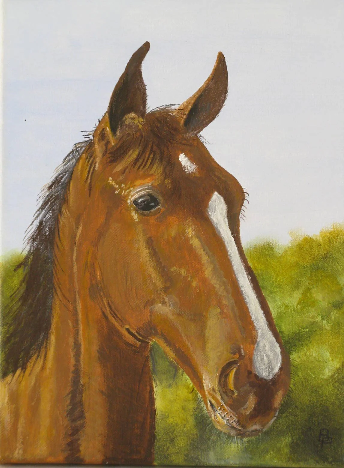 215- tête de cheval.JPG